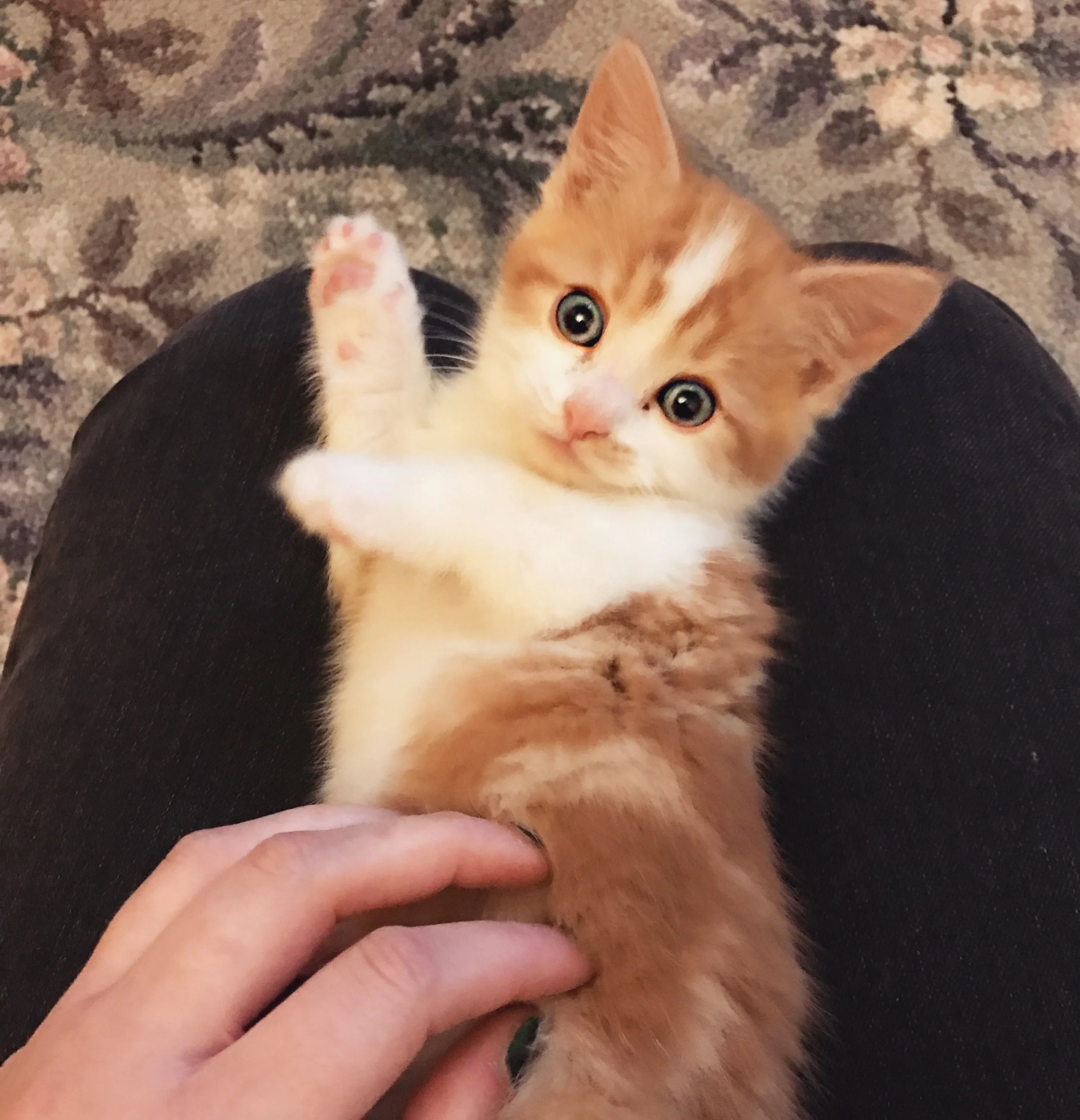 The 2nd & 3rd; Just so CUTE.