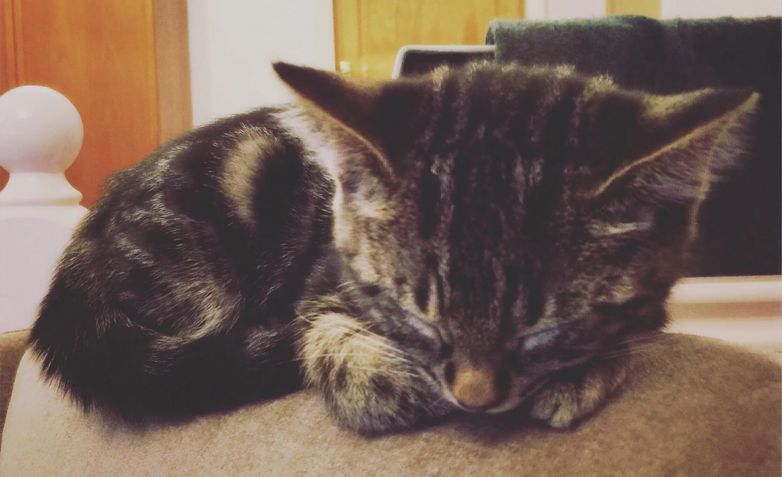 The 8th & 9th; We were running out of time.