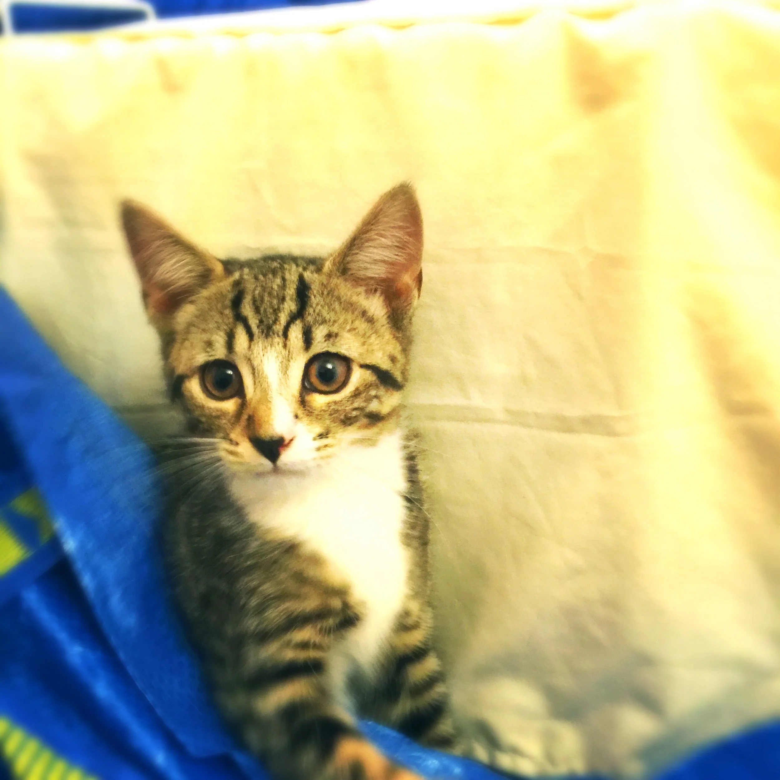 The 10th & 11th; Thousands more pages of notes.