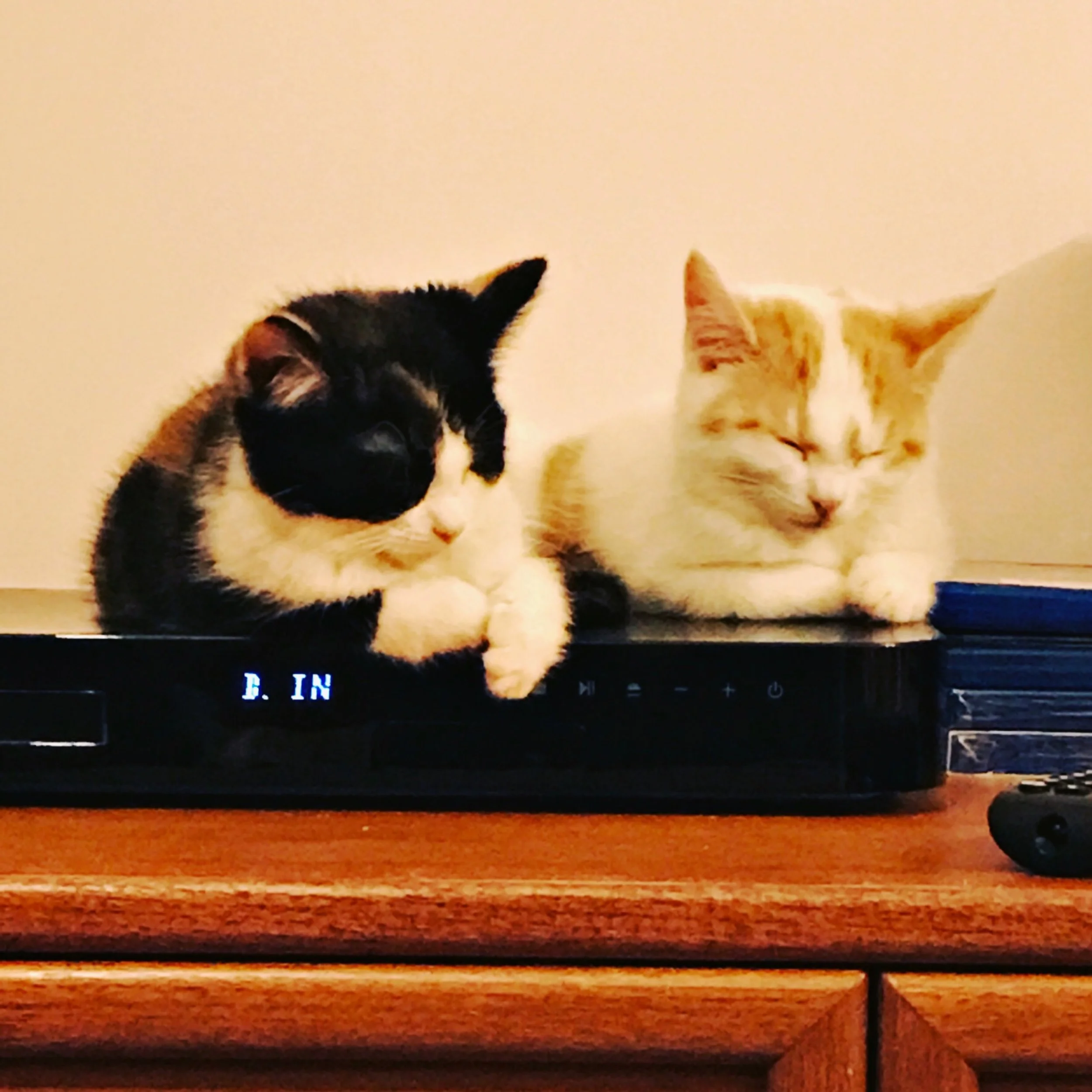 The 5th & 6th; It's not so bad.