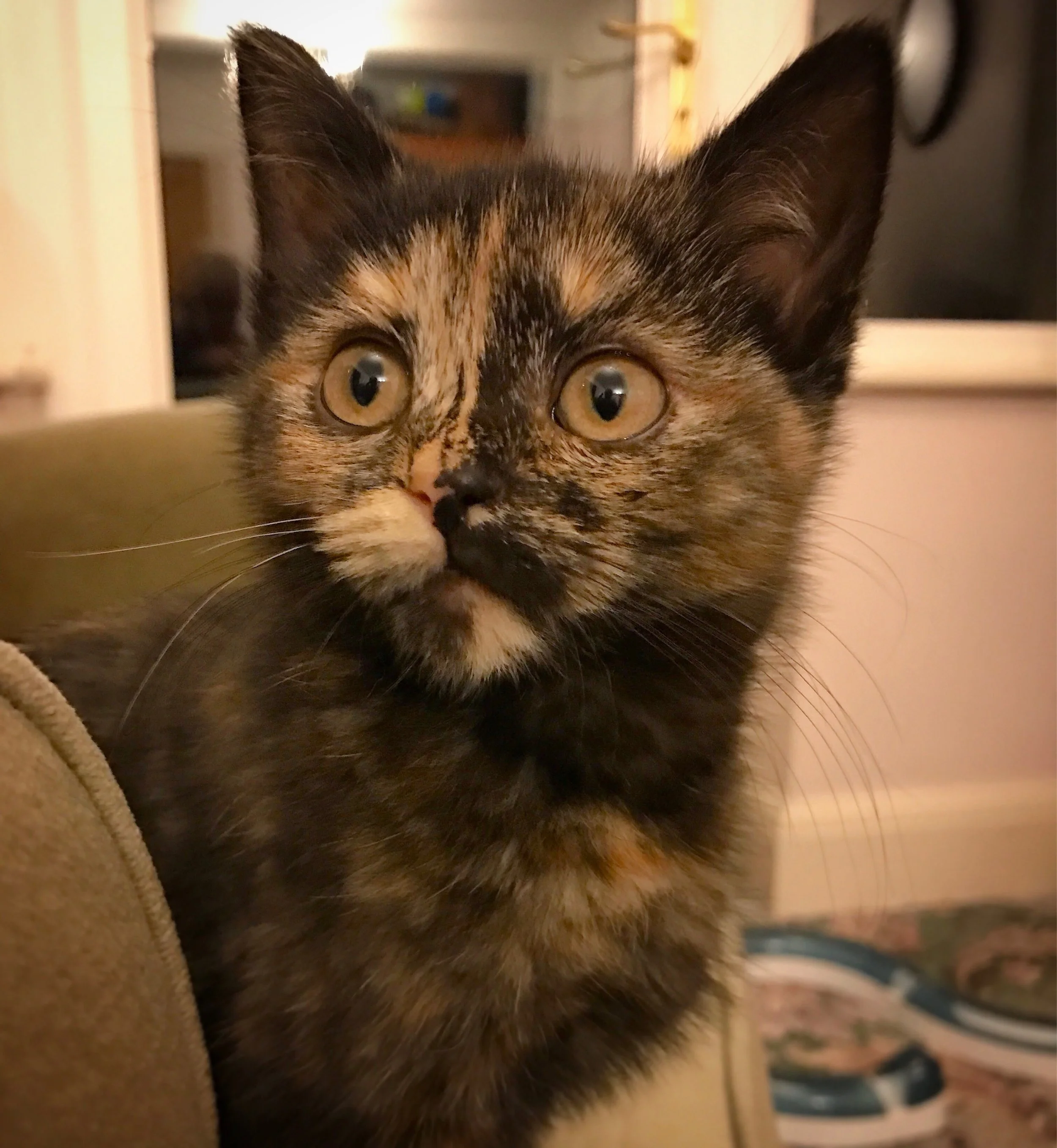 The 7th & 8th; I would really like to feel good again.