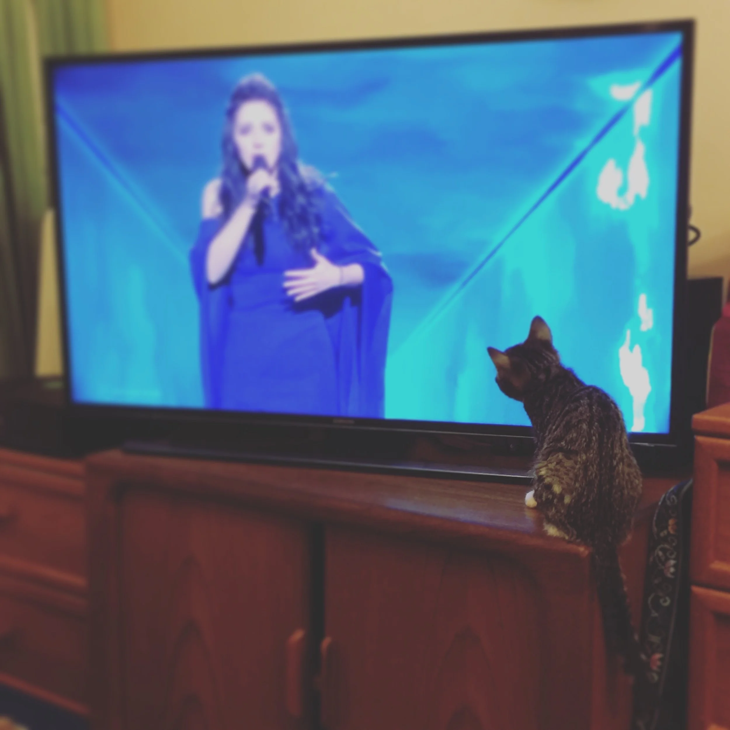 The 14th & 15th; So much boring admin.