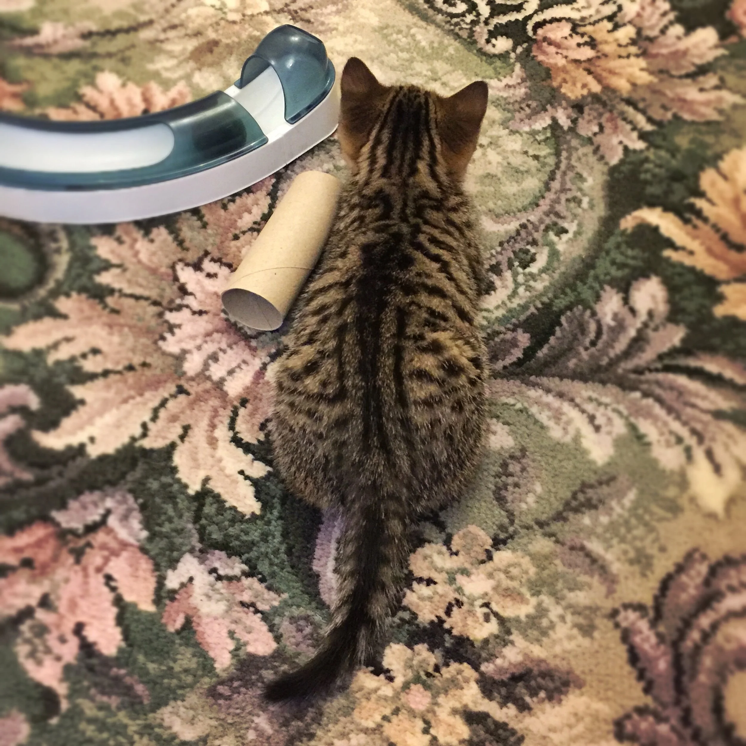 The 24th & 25th; The impossible girl.