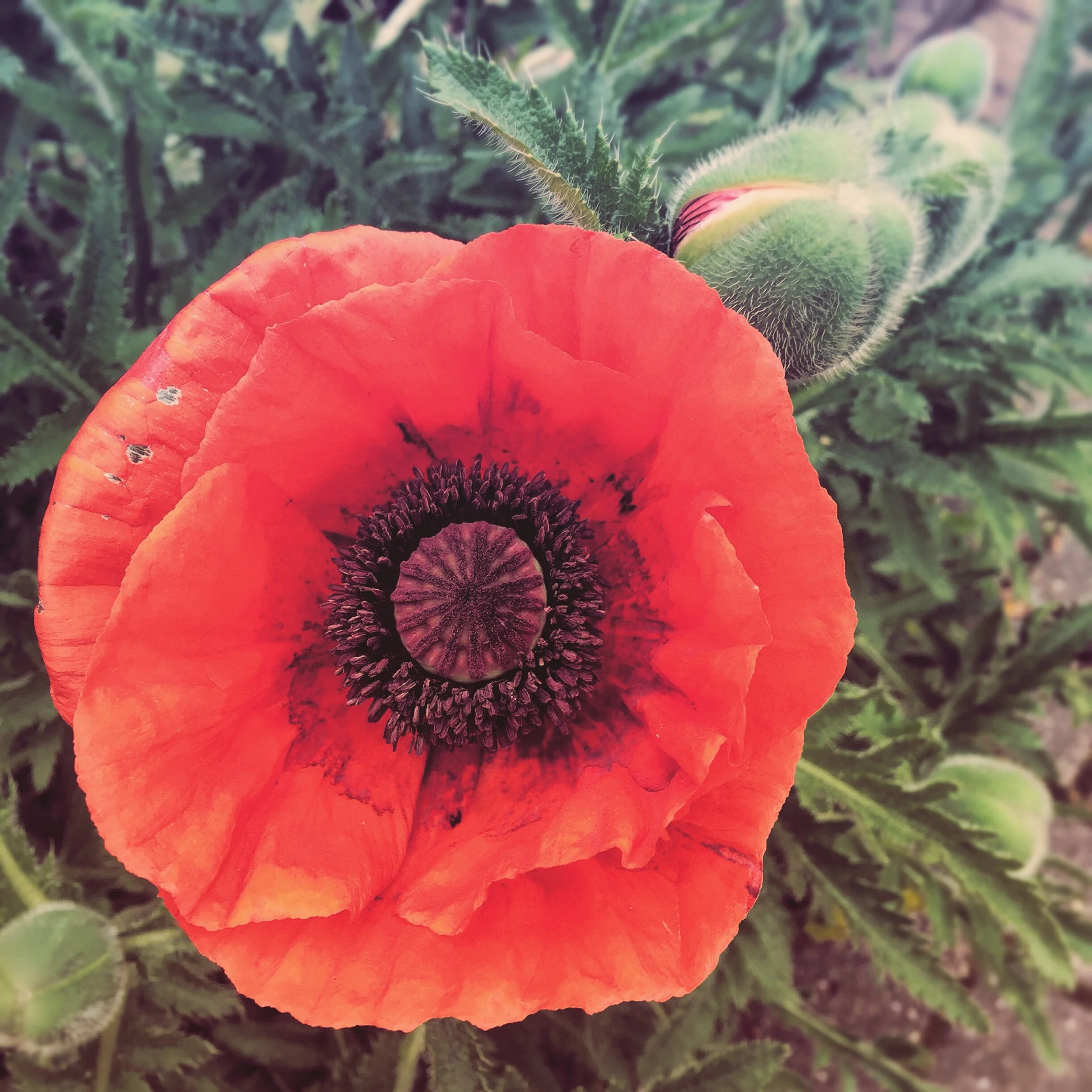 The 1st & 2nd; Where to start?