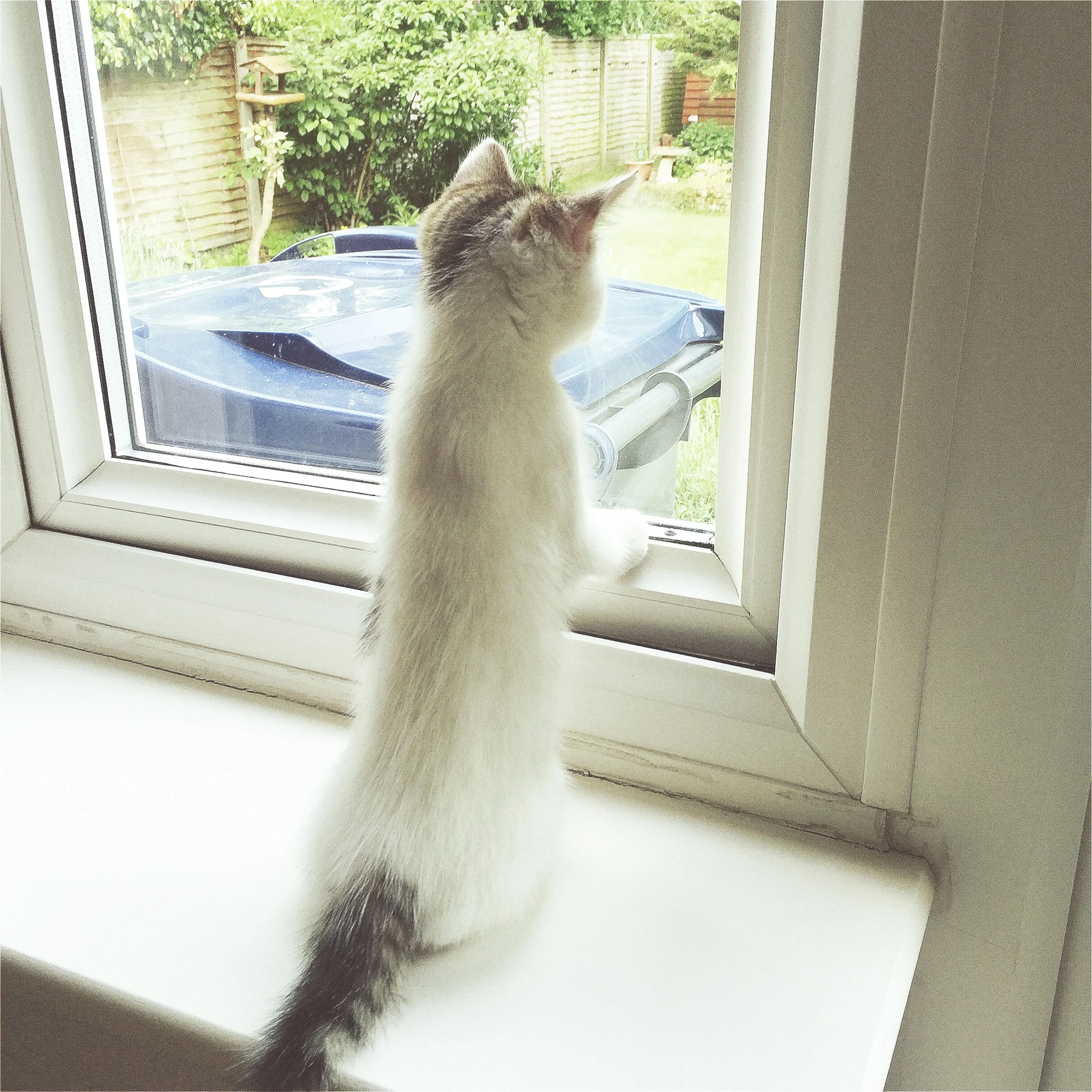 The 7th & 8th; No, you can't breathe.