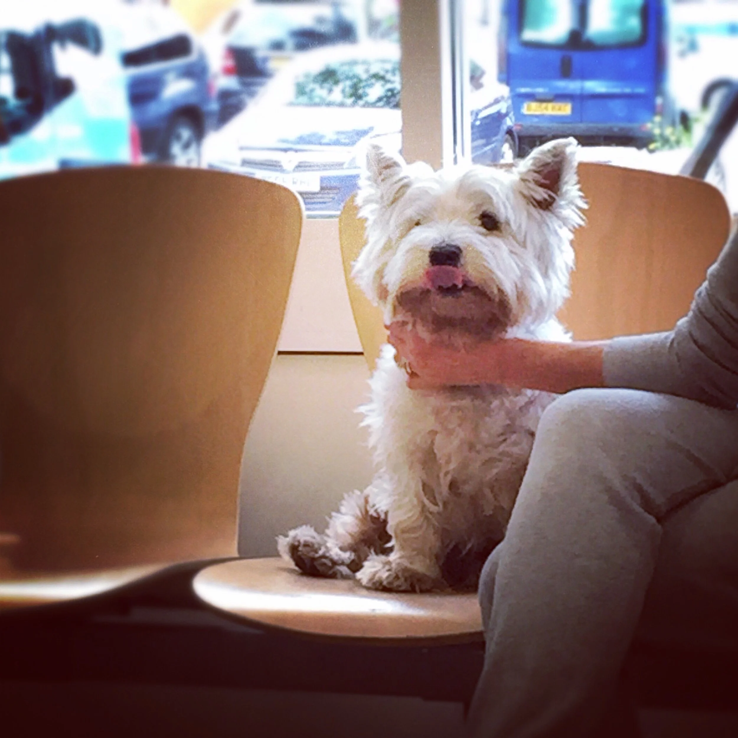 The 15th & 16th; Today was going so well.