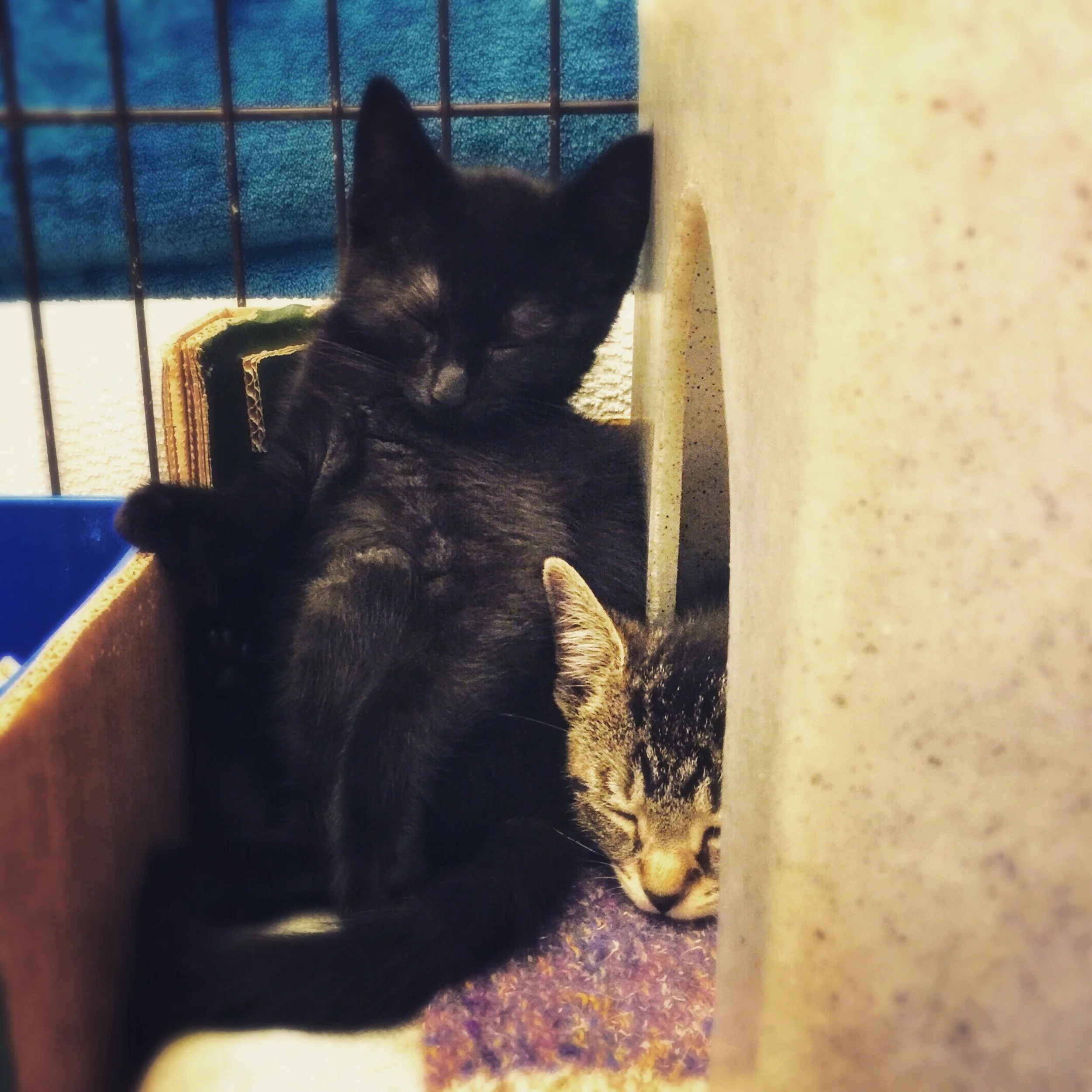 The 23rd & 24th; Life might become totally unbearable.