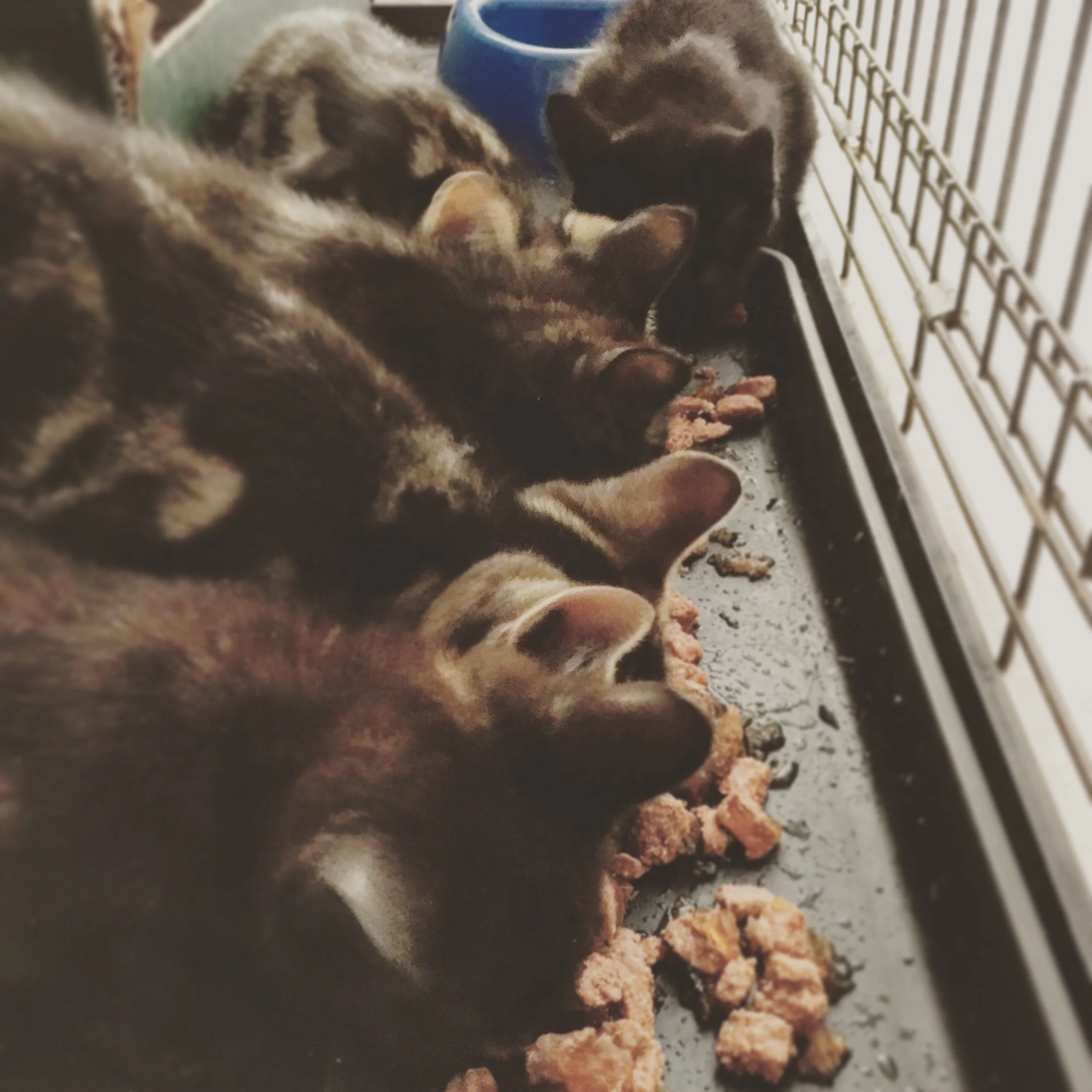 The 25th & 26th; Still feel horrific.