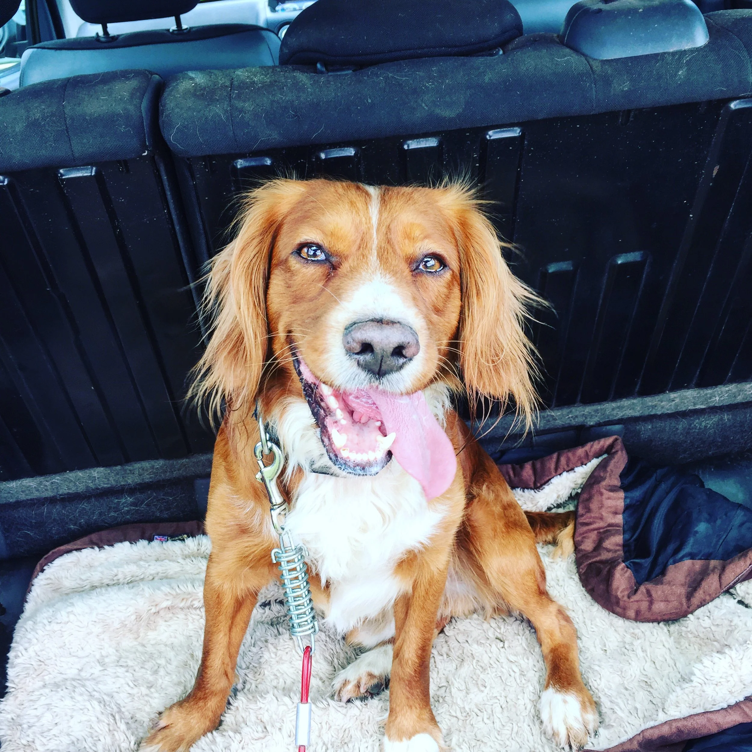 The 1st & 2nd; Let the relaxing commence.