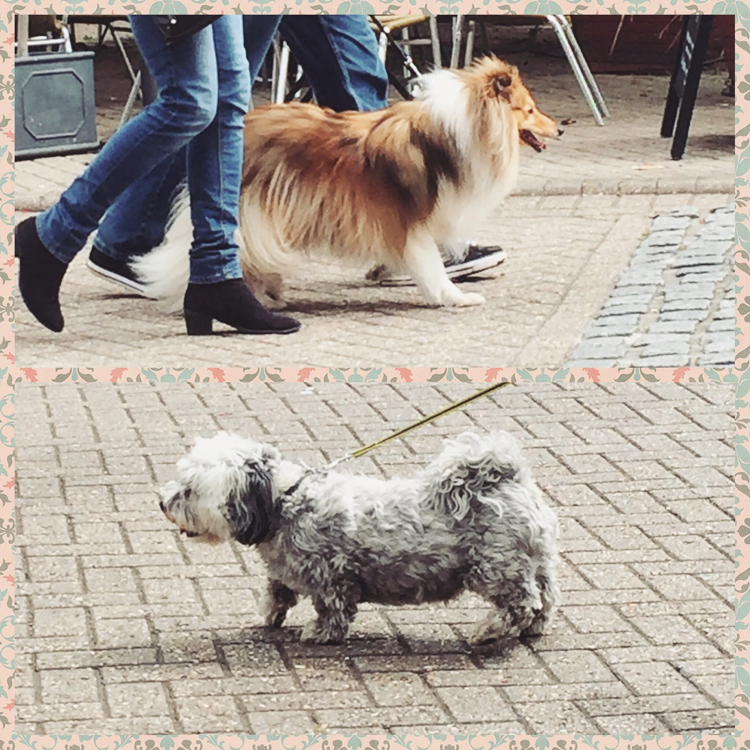 The 9th & 10th; Home is just better.