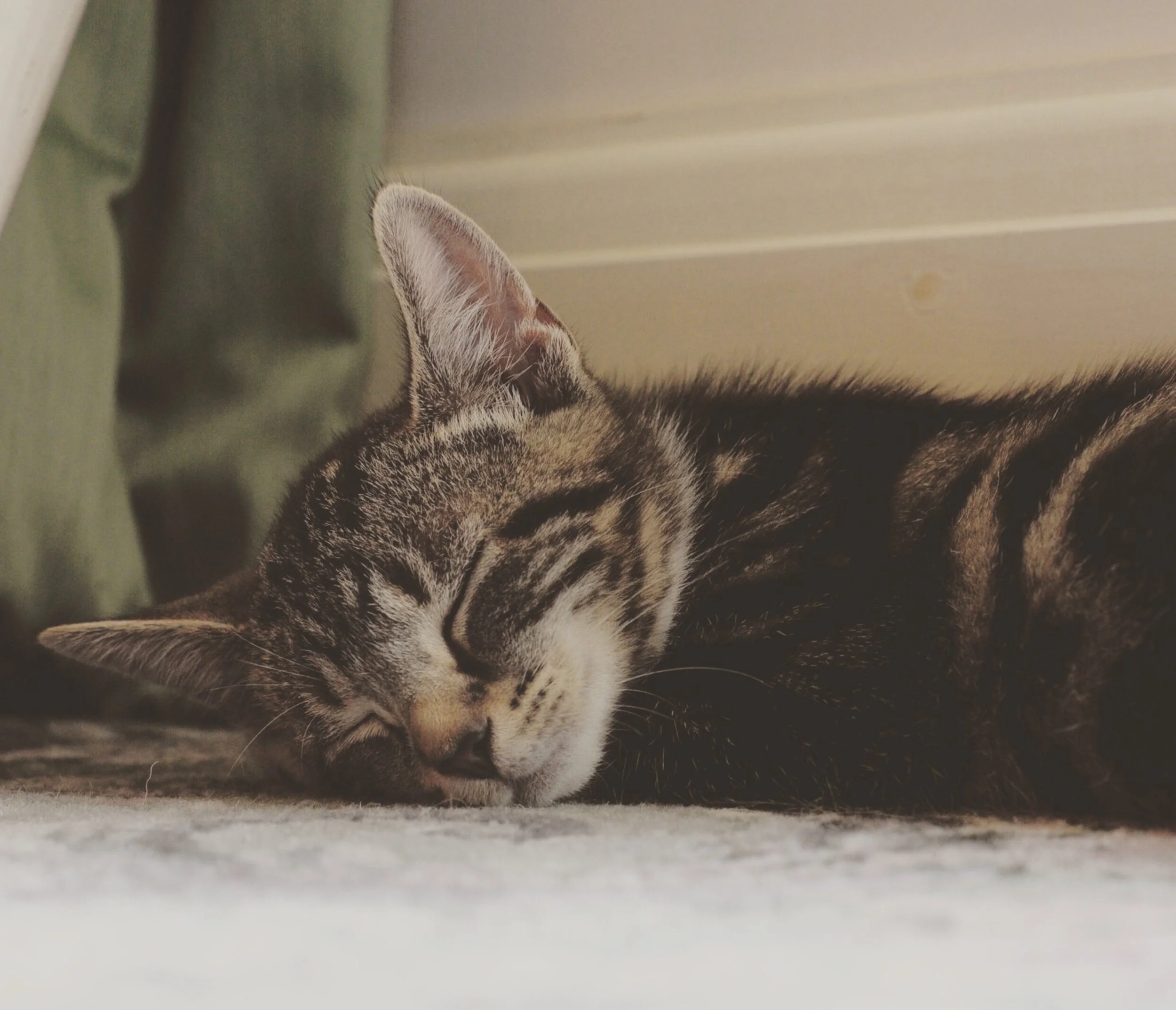 The 17th & 18th; This must be how actual writers feel.