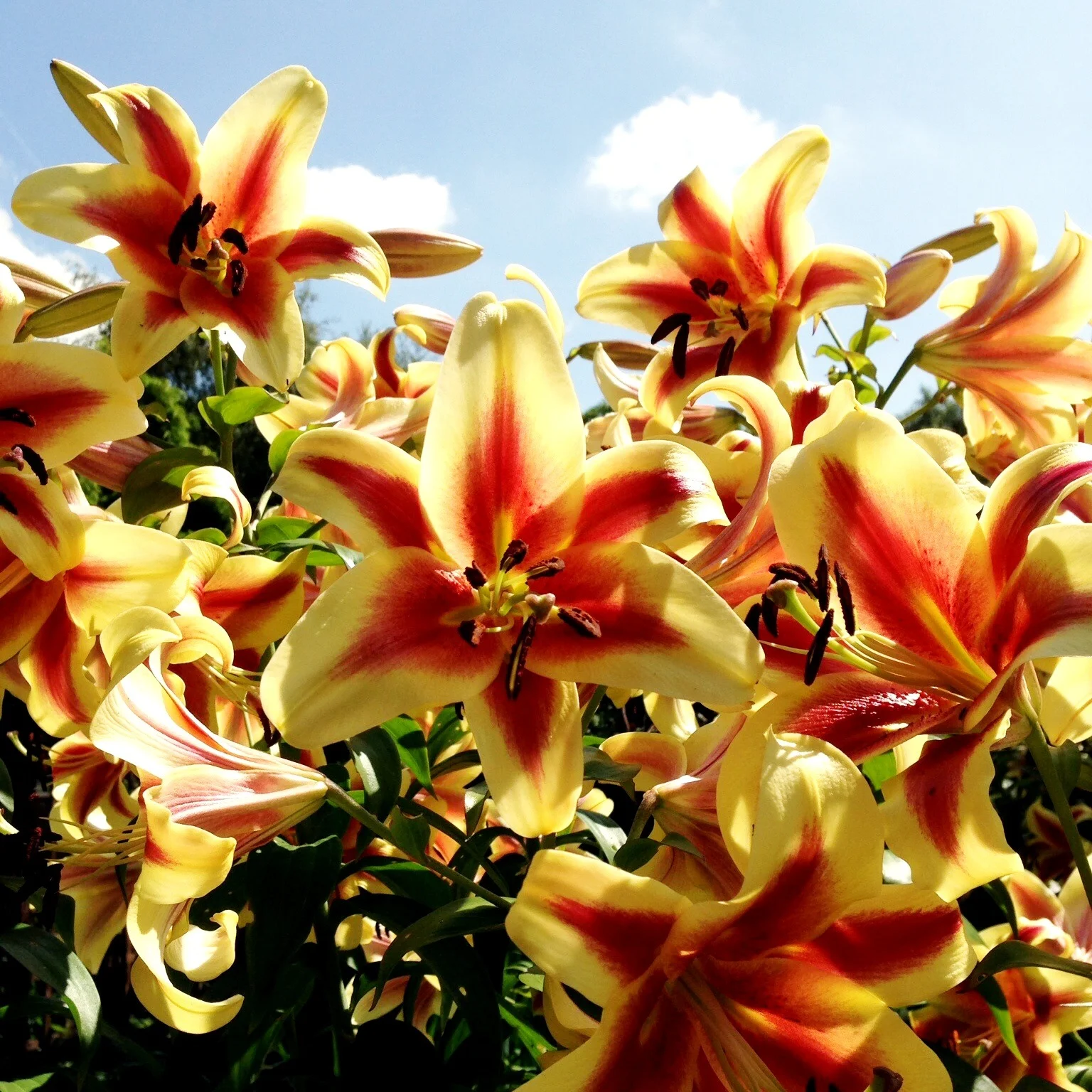 The 21st & 22nd; We can breathe easy again - they're all fine.