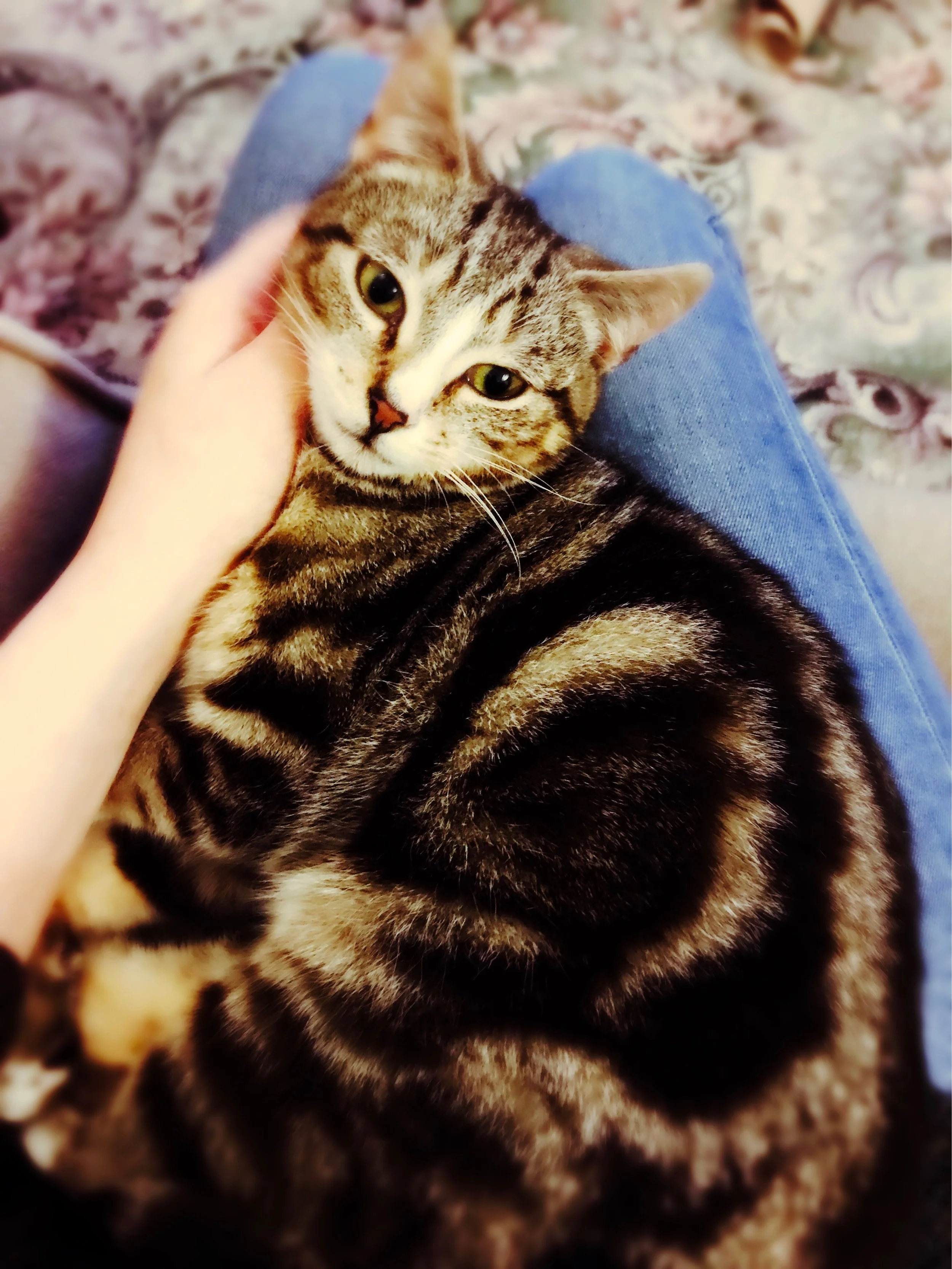 The 5th & 6th; I have learned to live without.