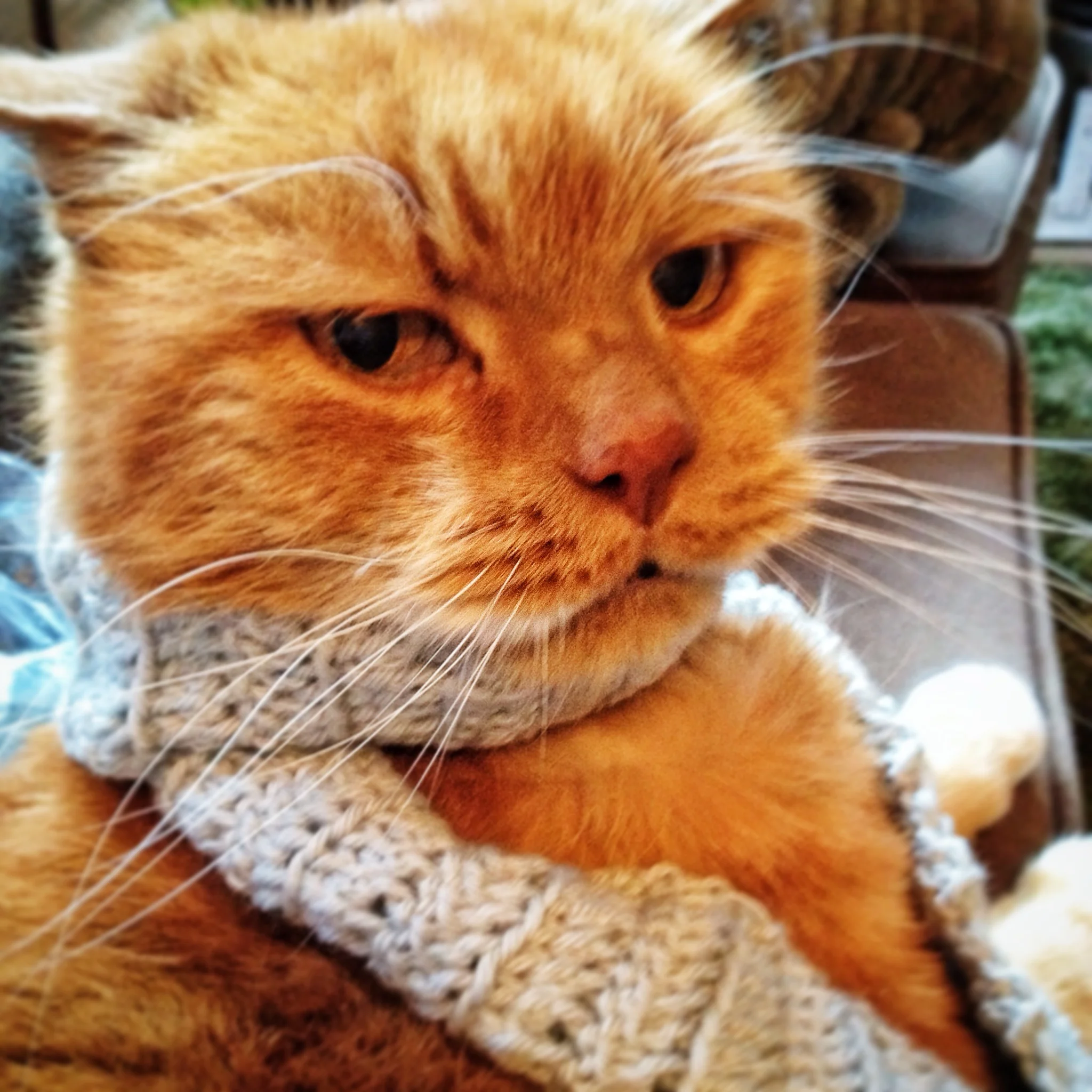 The 14th & 15th; My heart is broken.