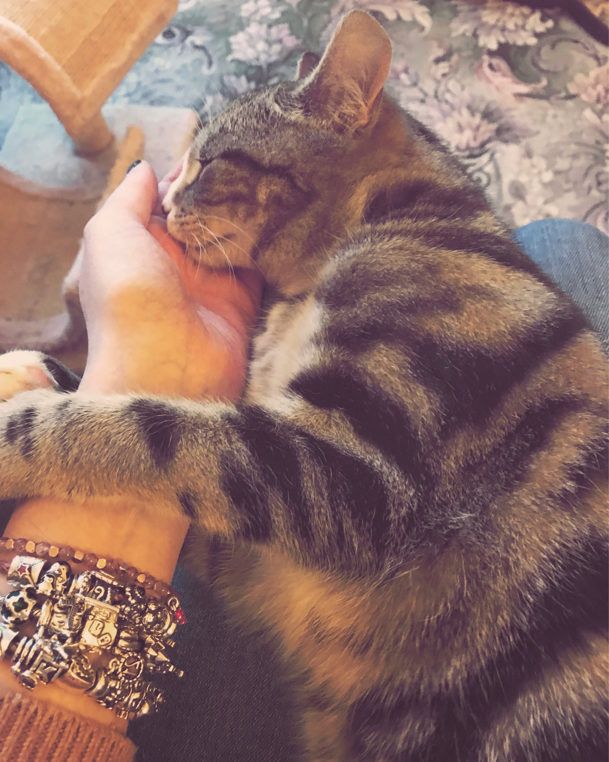 The 9th & 10th; I have reached peak grandma.