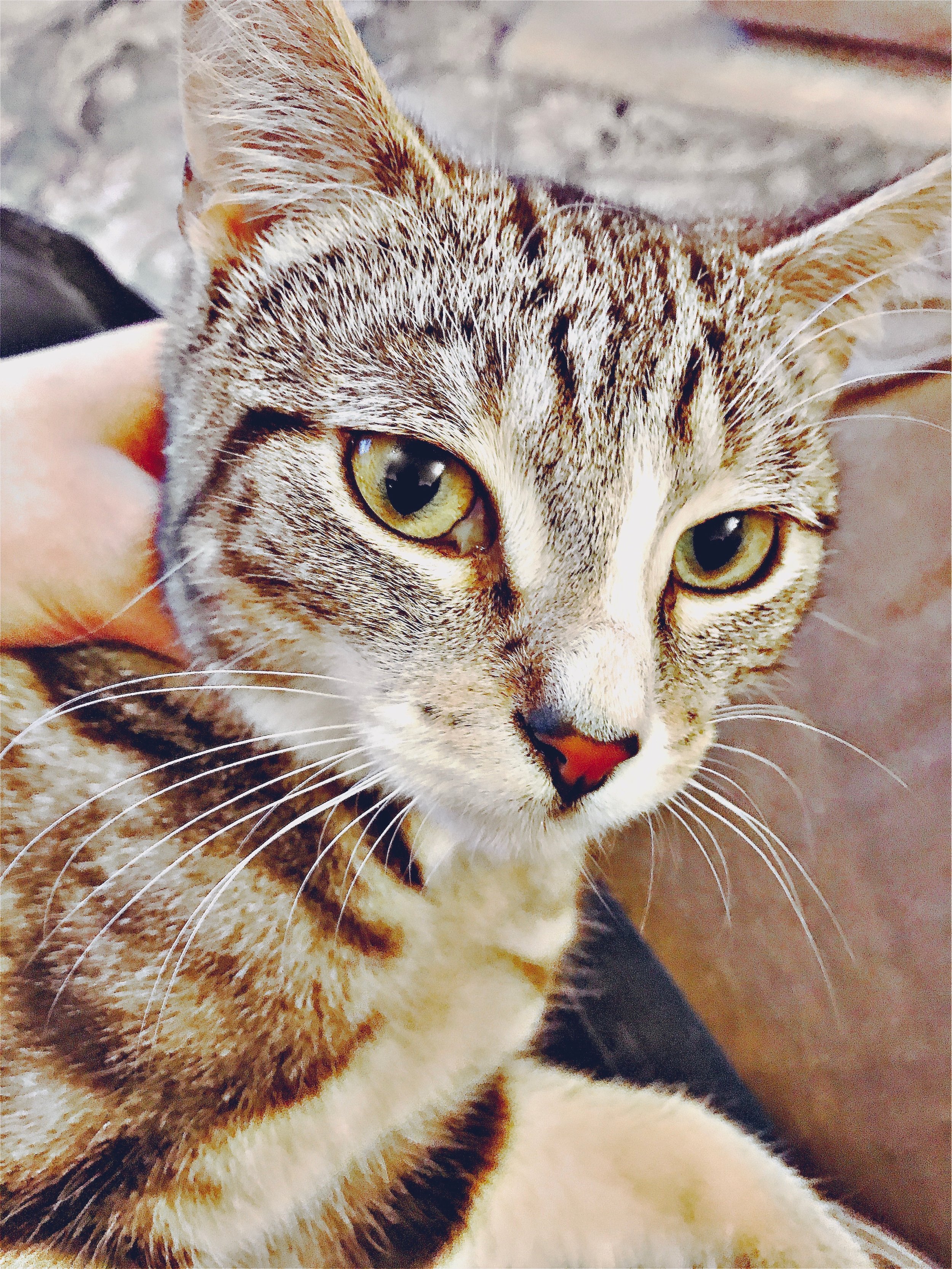 The 11th & 12th; Two good breathing days in a row?