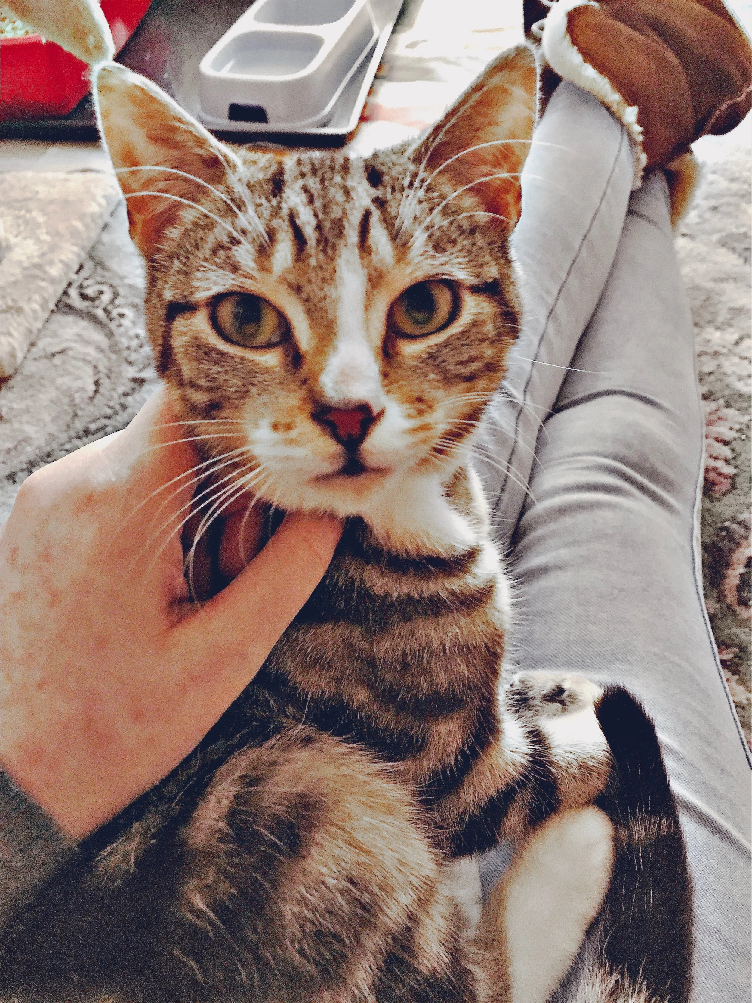 The 17th & 18th; Do the right thing.