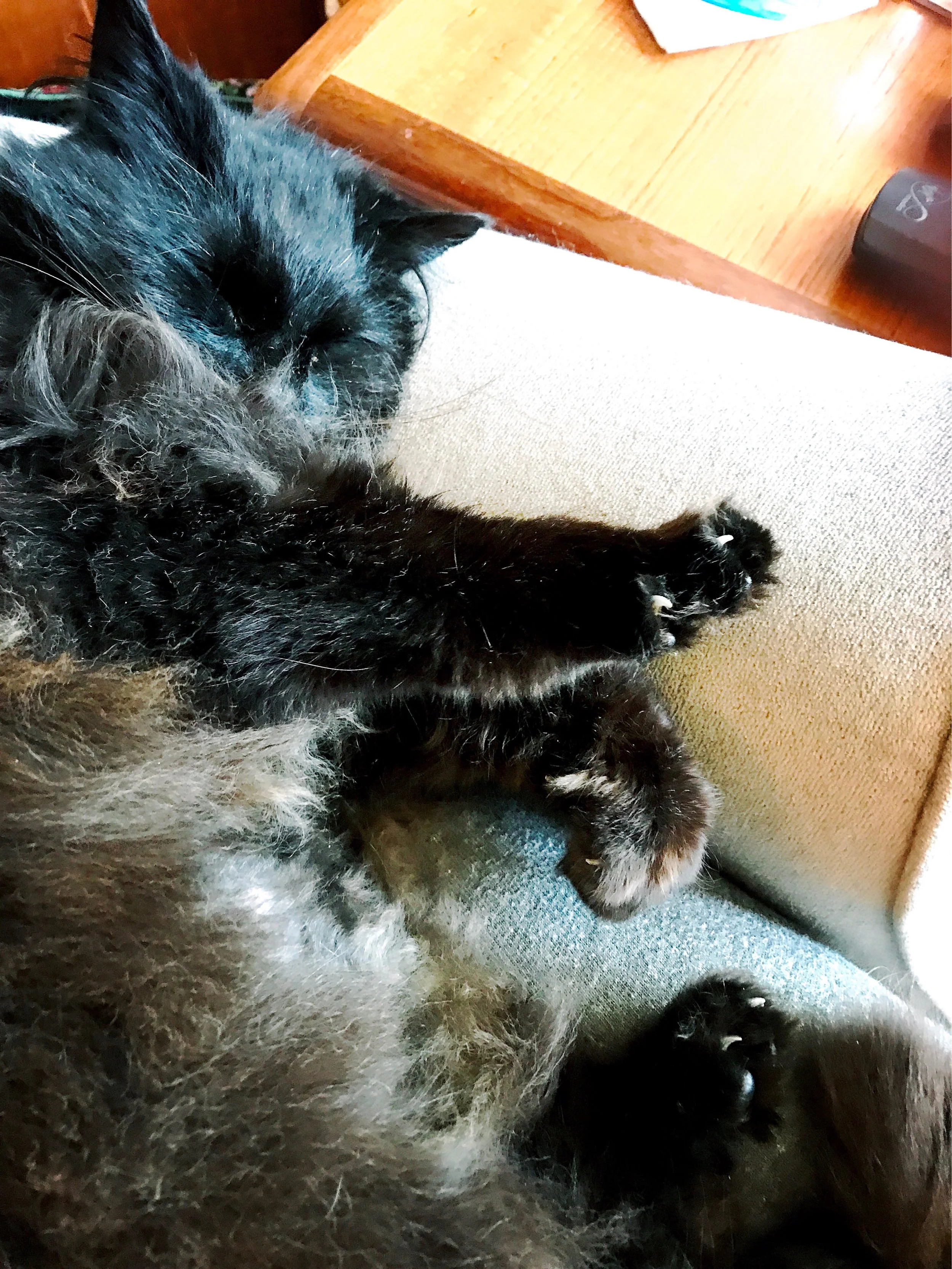 The 25th & 26th; A third of the year has passed.