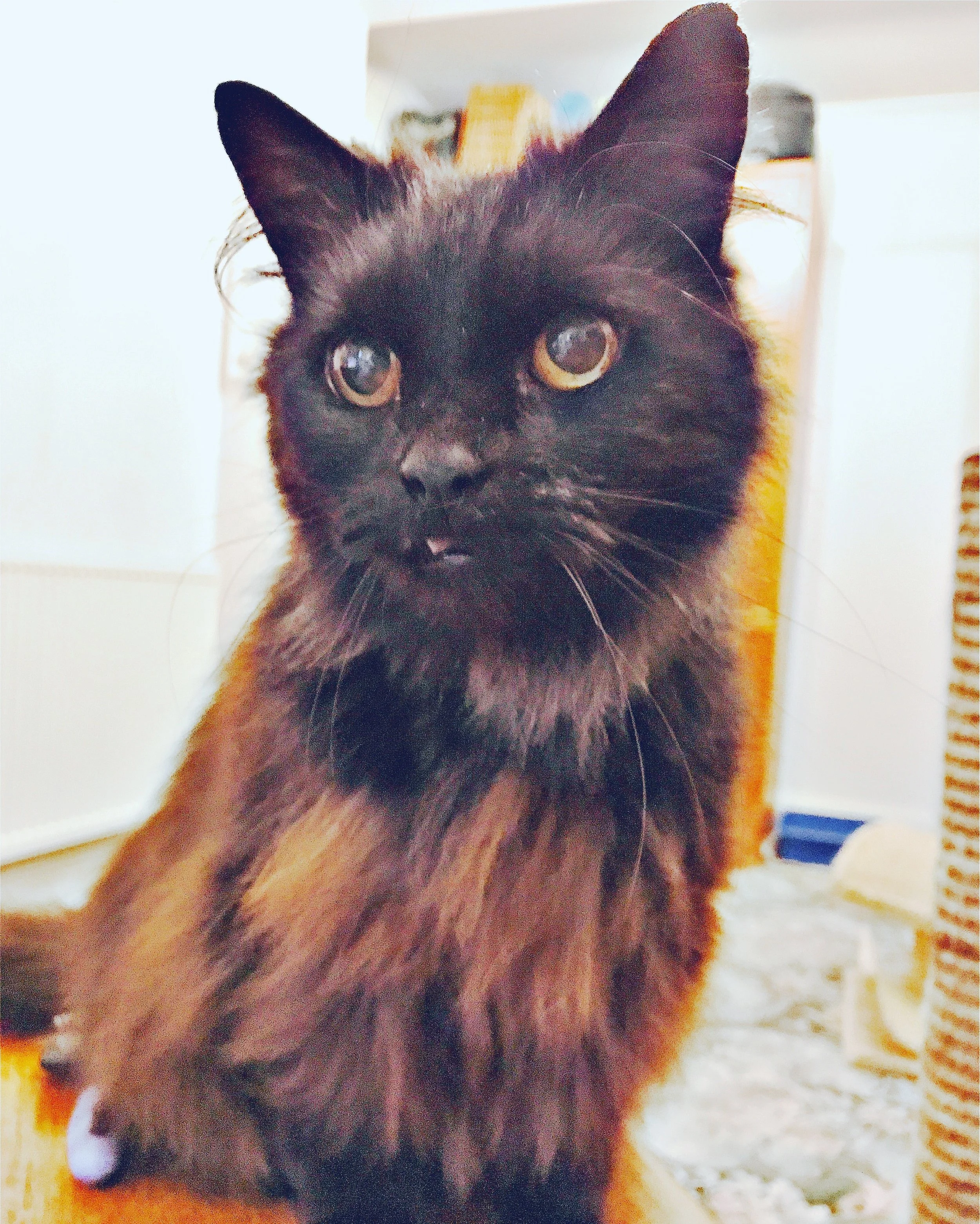 The 29th & 30th; I write this AT HOME.