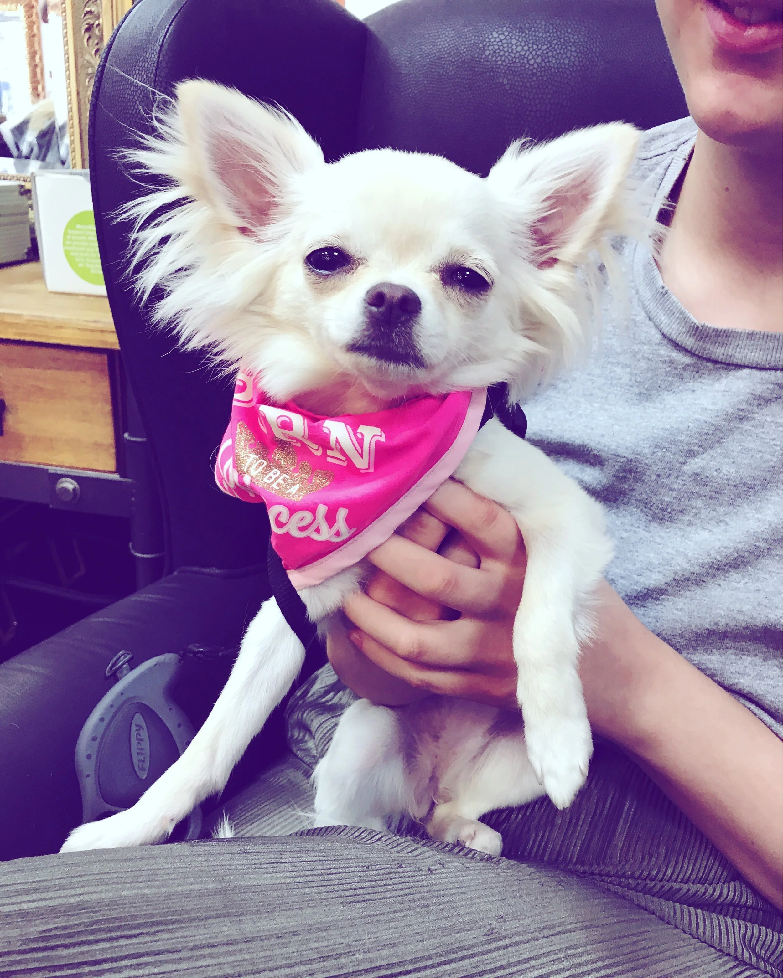 The 14th & 15th; They kill people.