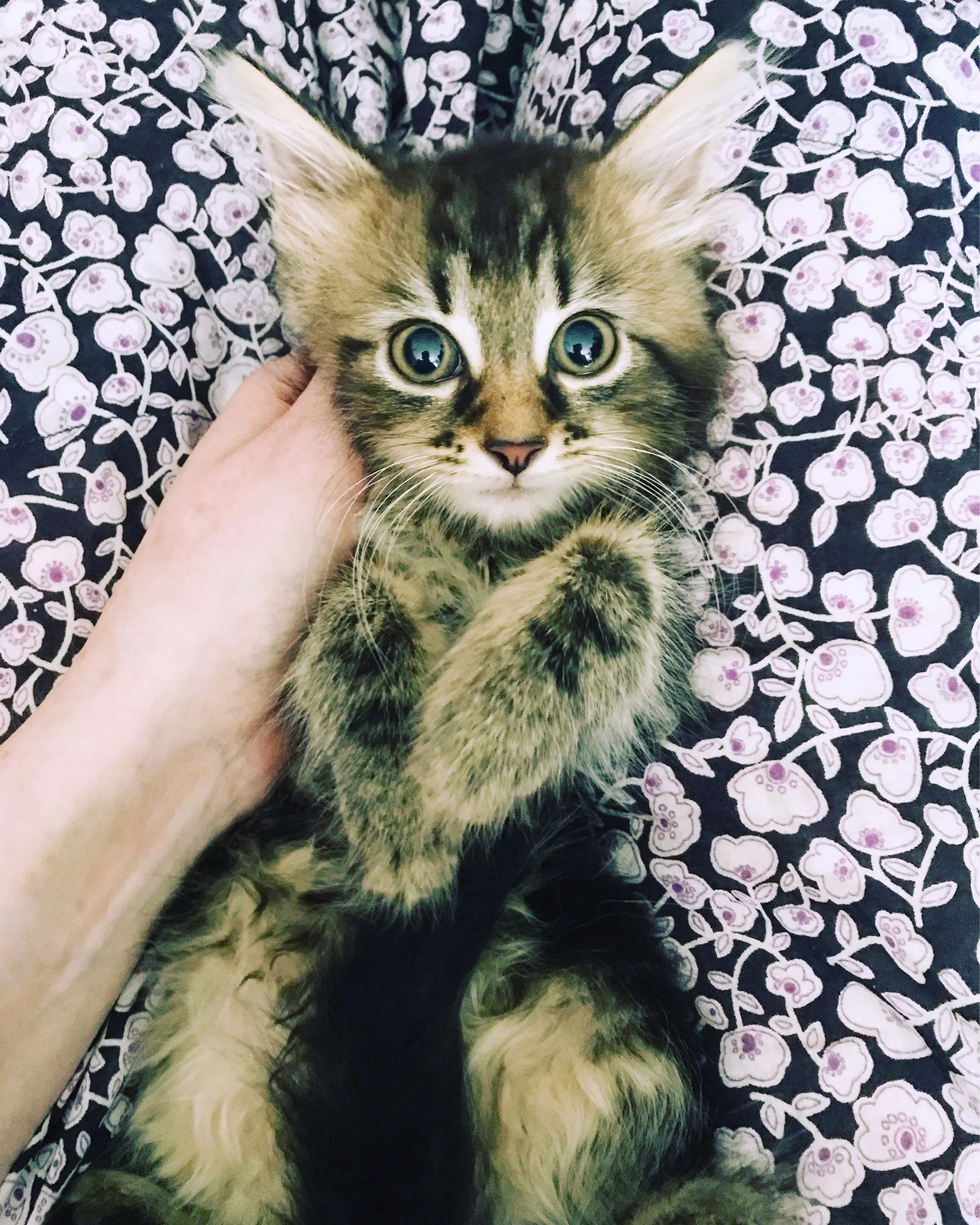 The 18th & 19th; I am not built for this weather.