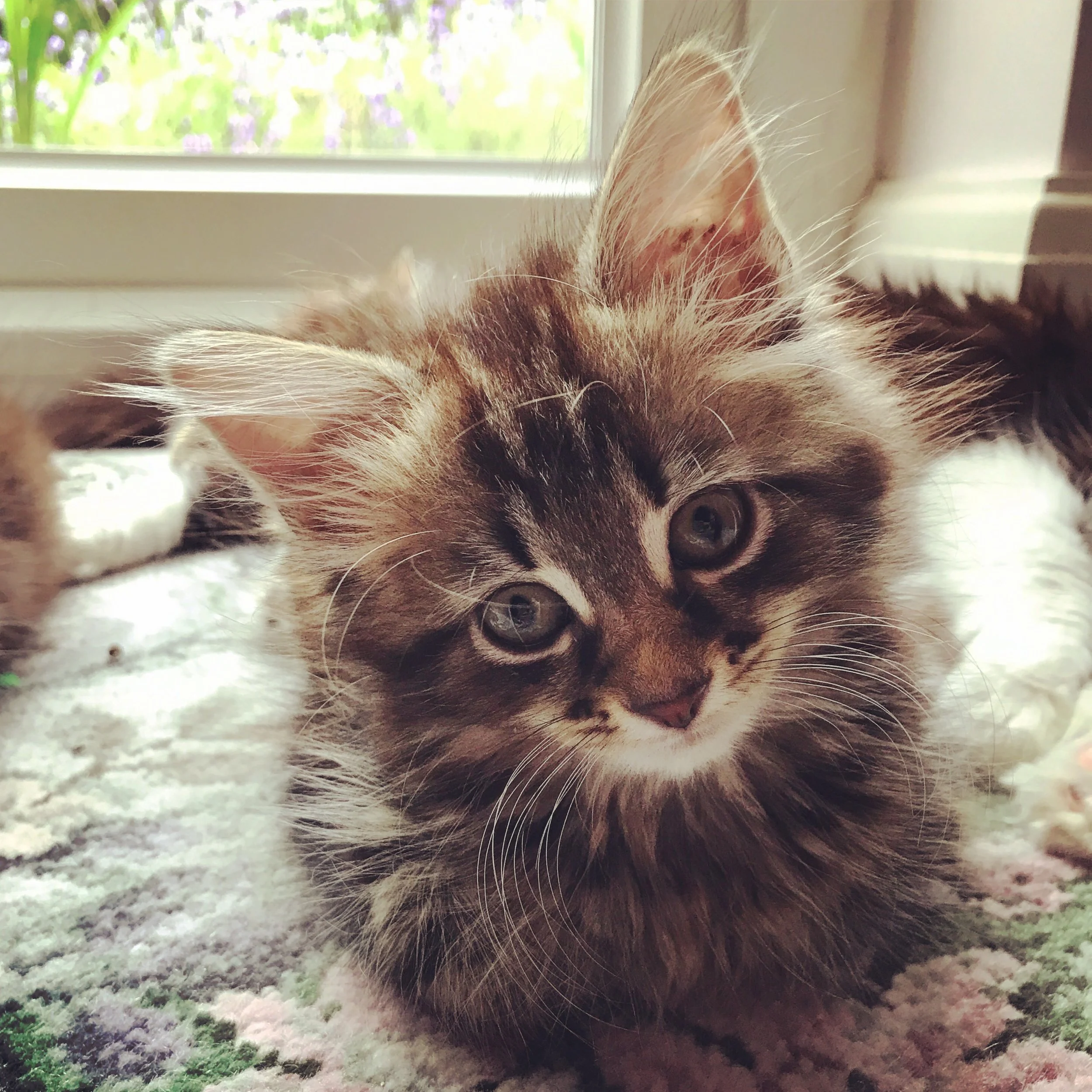 The 22nd & 23rd; Stick a load of needles in my arm and squeeze.