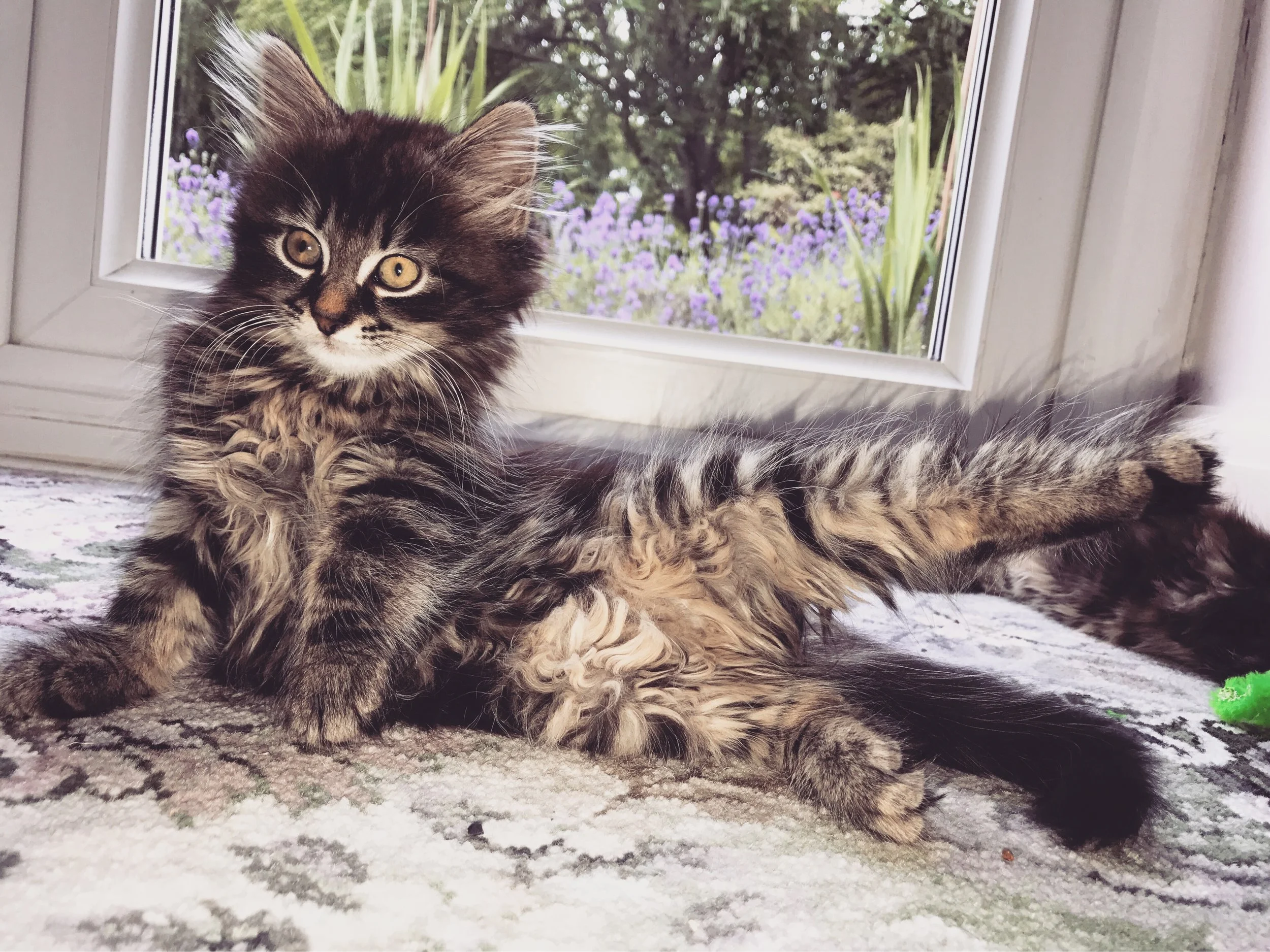 The 24th & 25th; There is some light left.