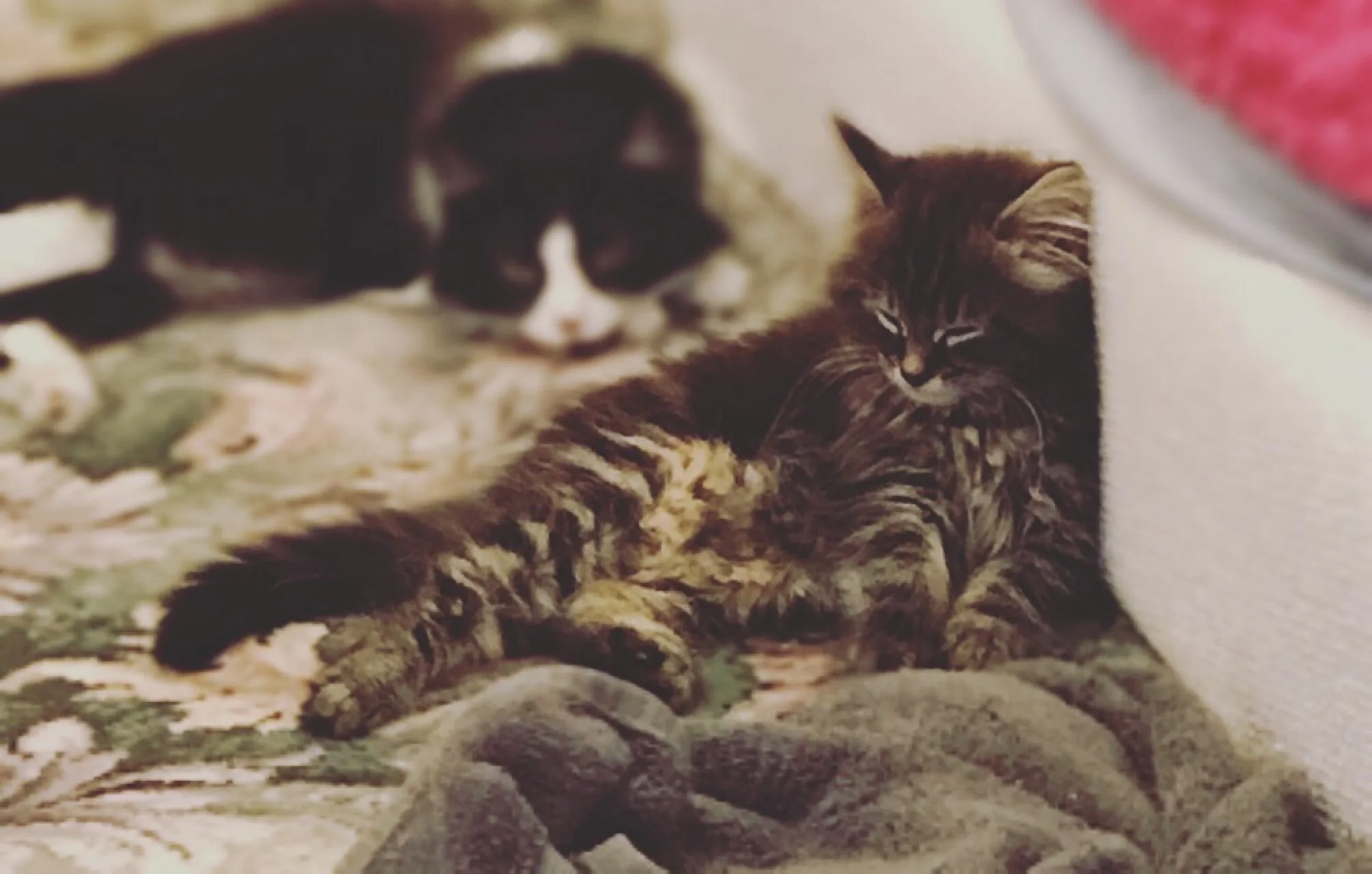 The 28th & 29th; I have a date!