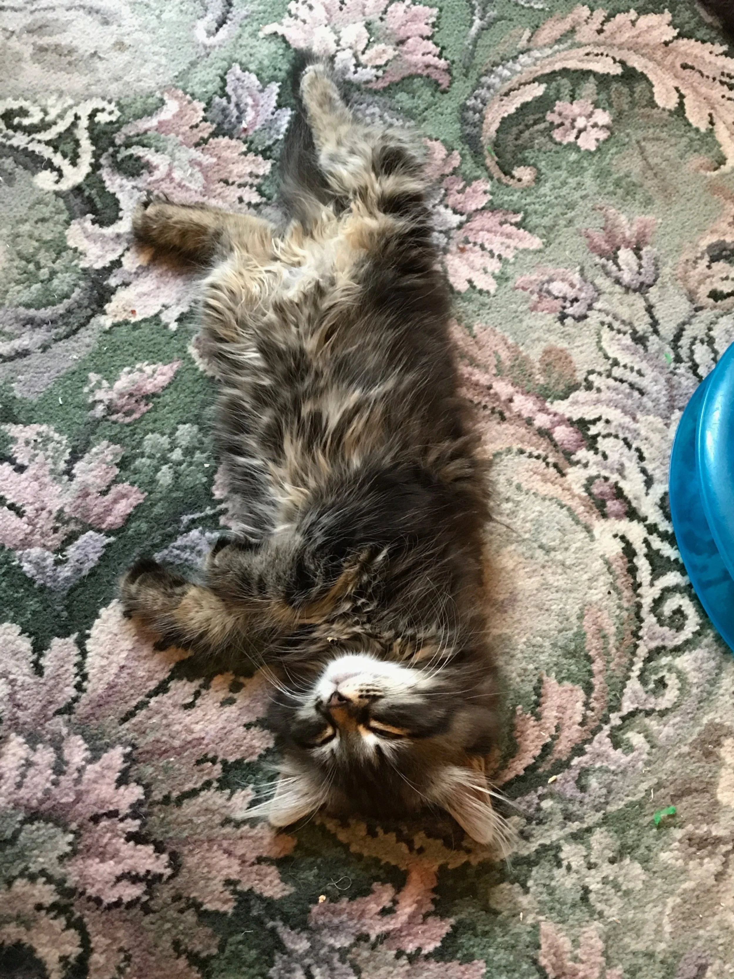 The 4th & 5th; It's so quiet now.