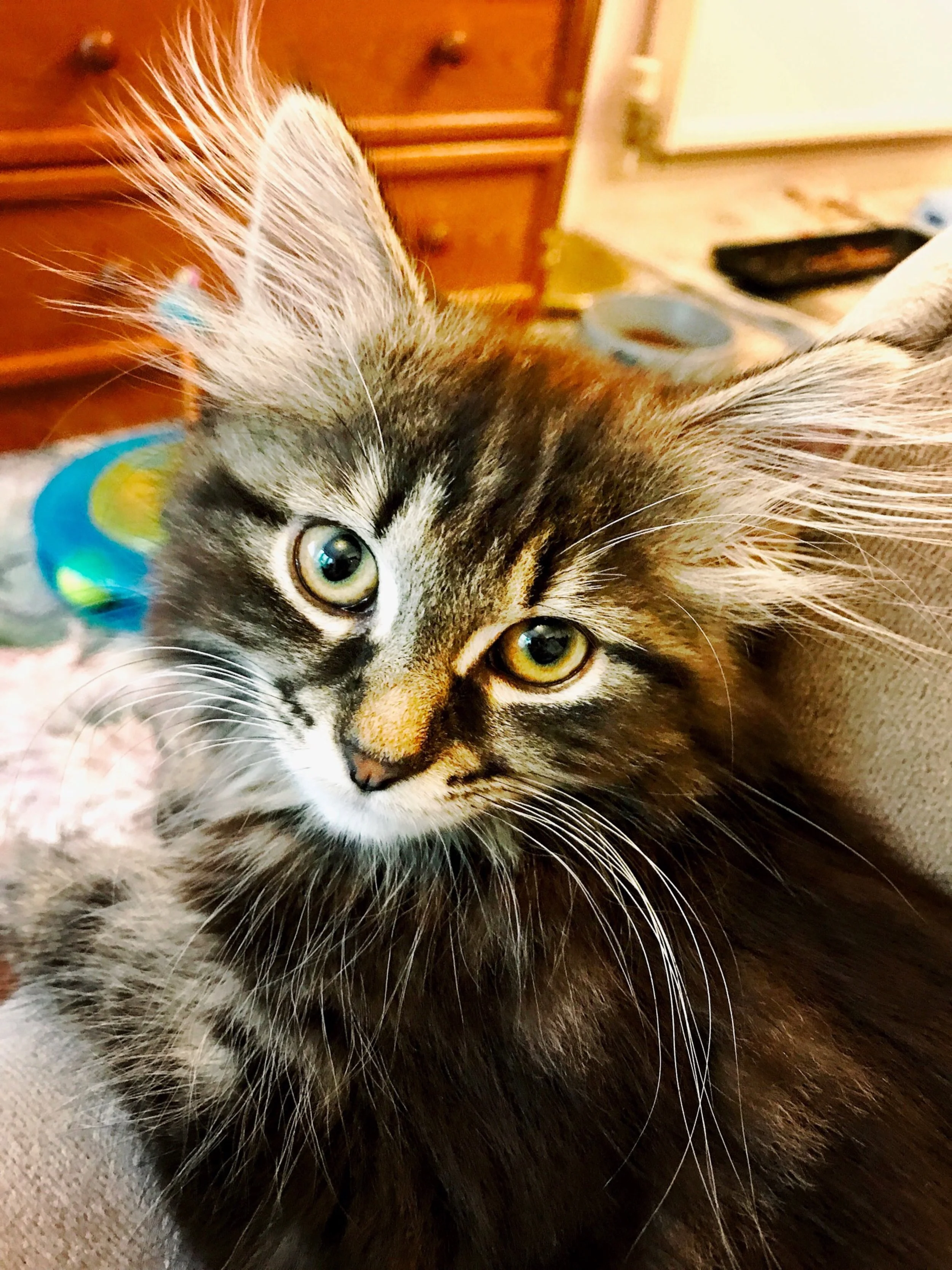 The 10th & 11th; I want to feel like me again.