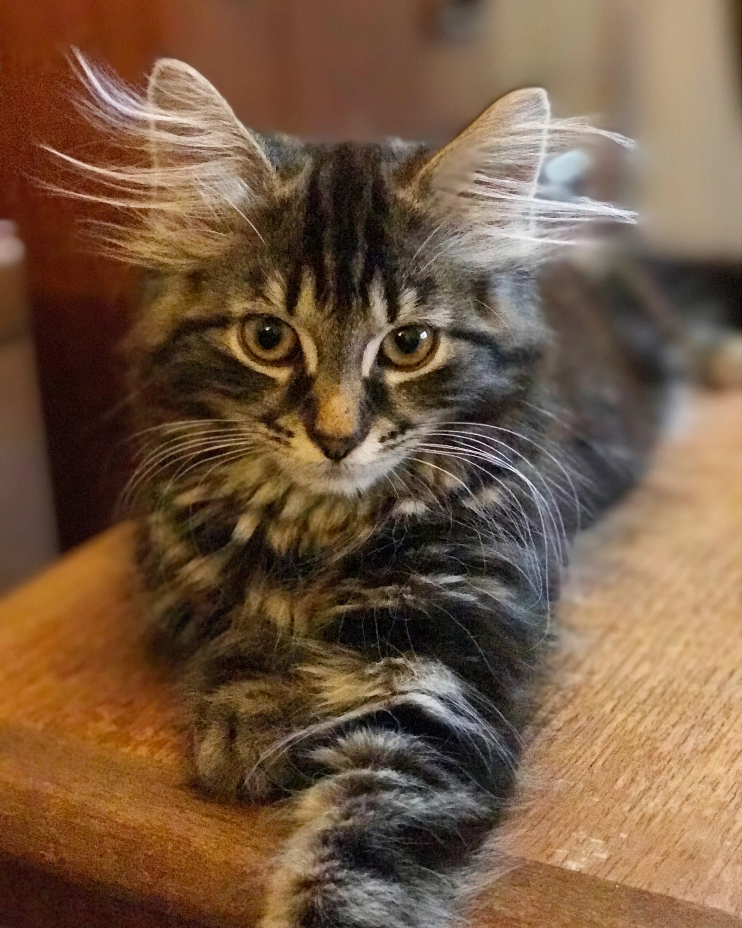 The 26th & 27th; Industrious day.