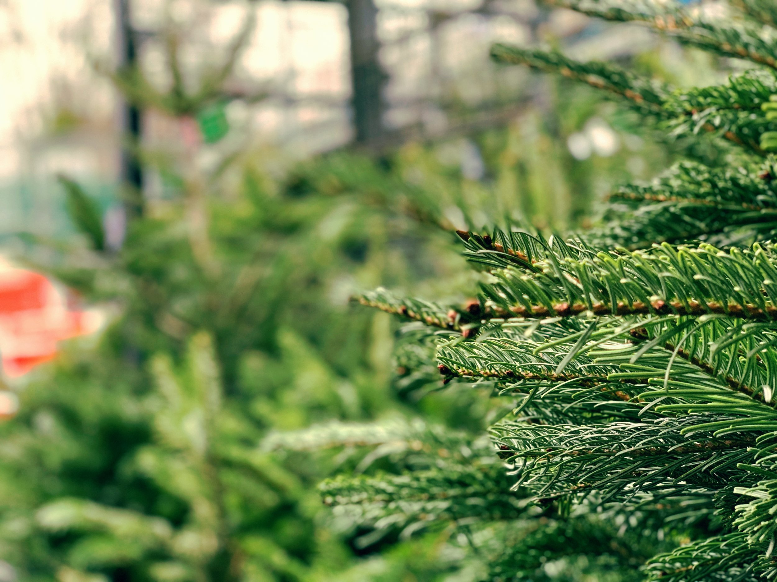 The 5th & 6th; Sleepy and unmotivated.