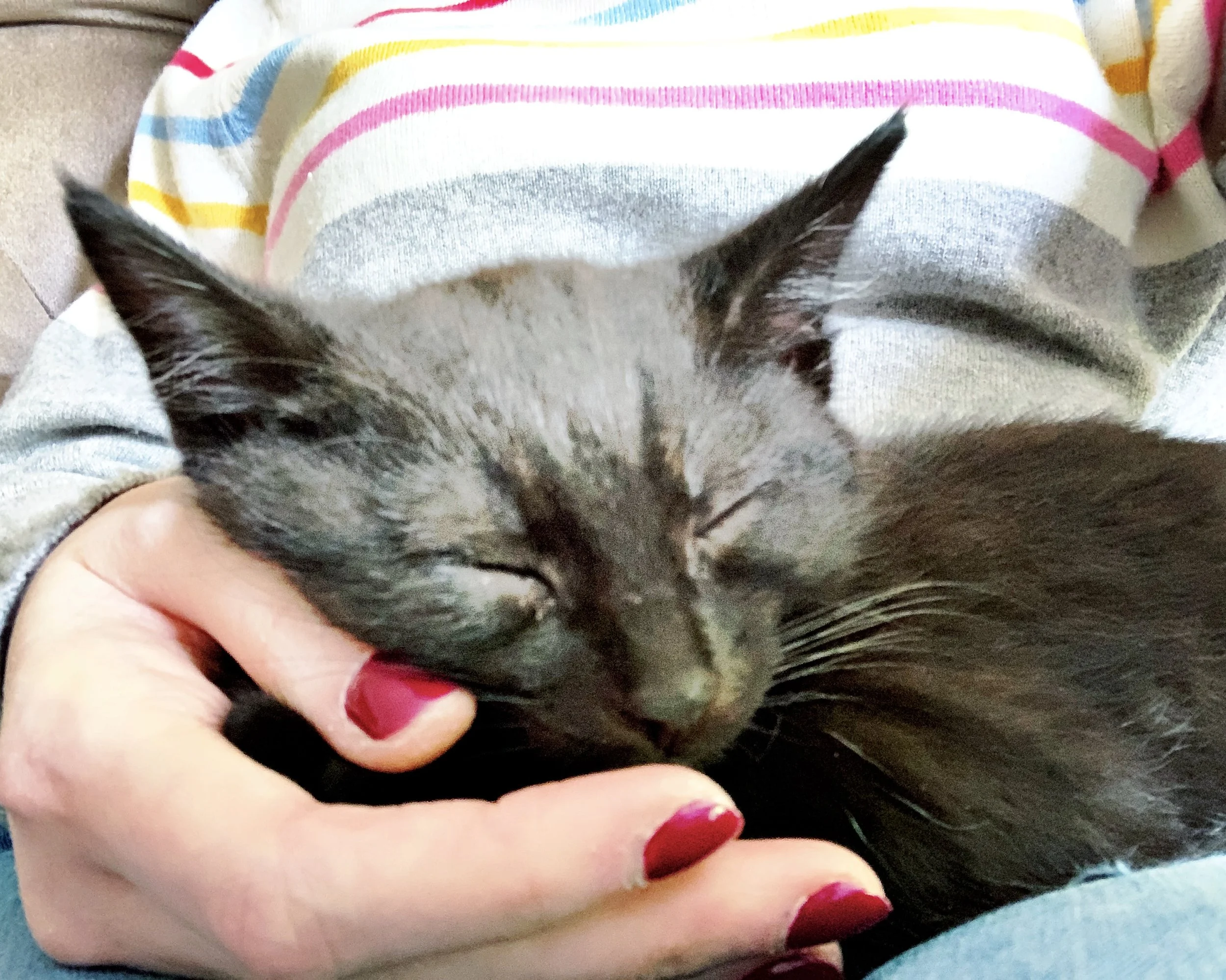 The 15th &amp; 16th; They were very well-behaved.