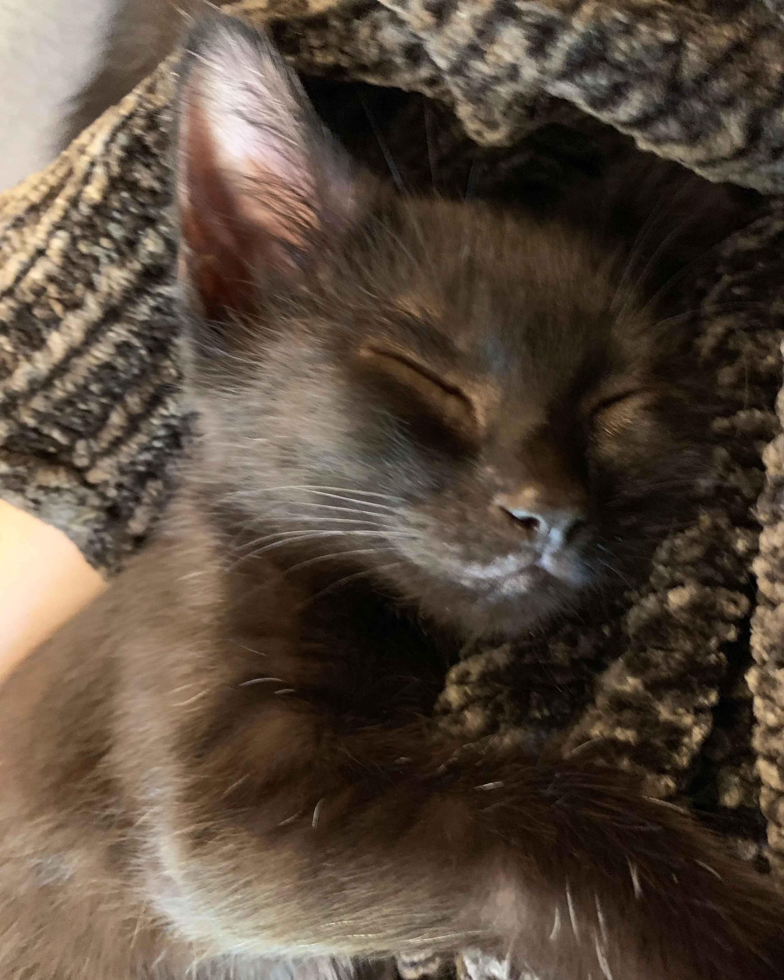 The 19th &amp; 20th; They are so good. 