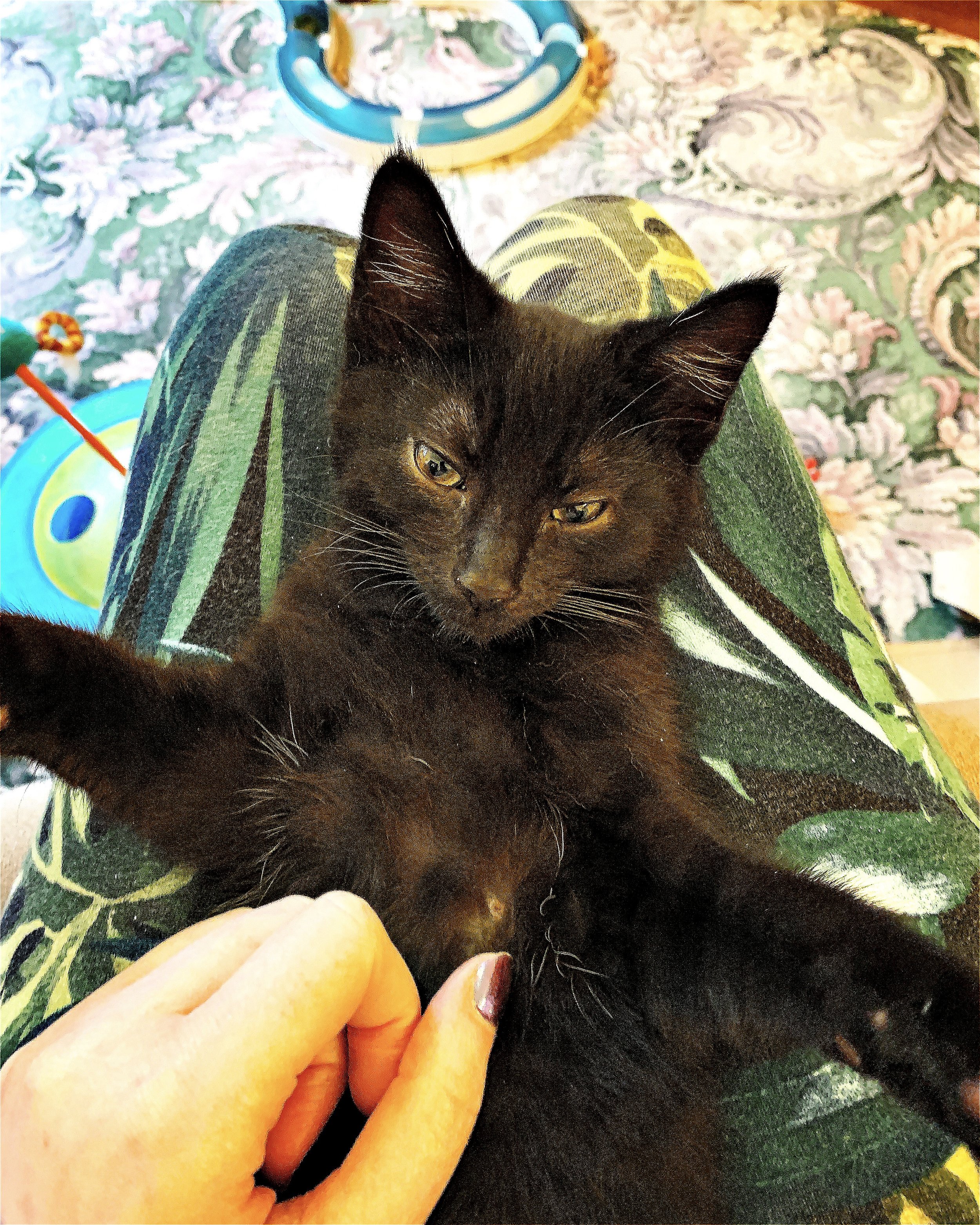 The 4th &amp; 5th; Not feeling terrible?