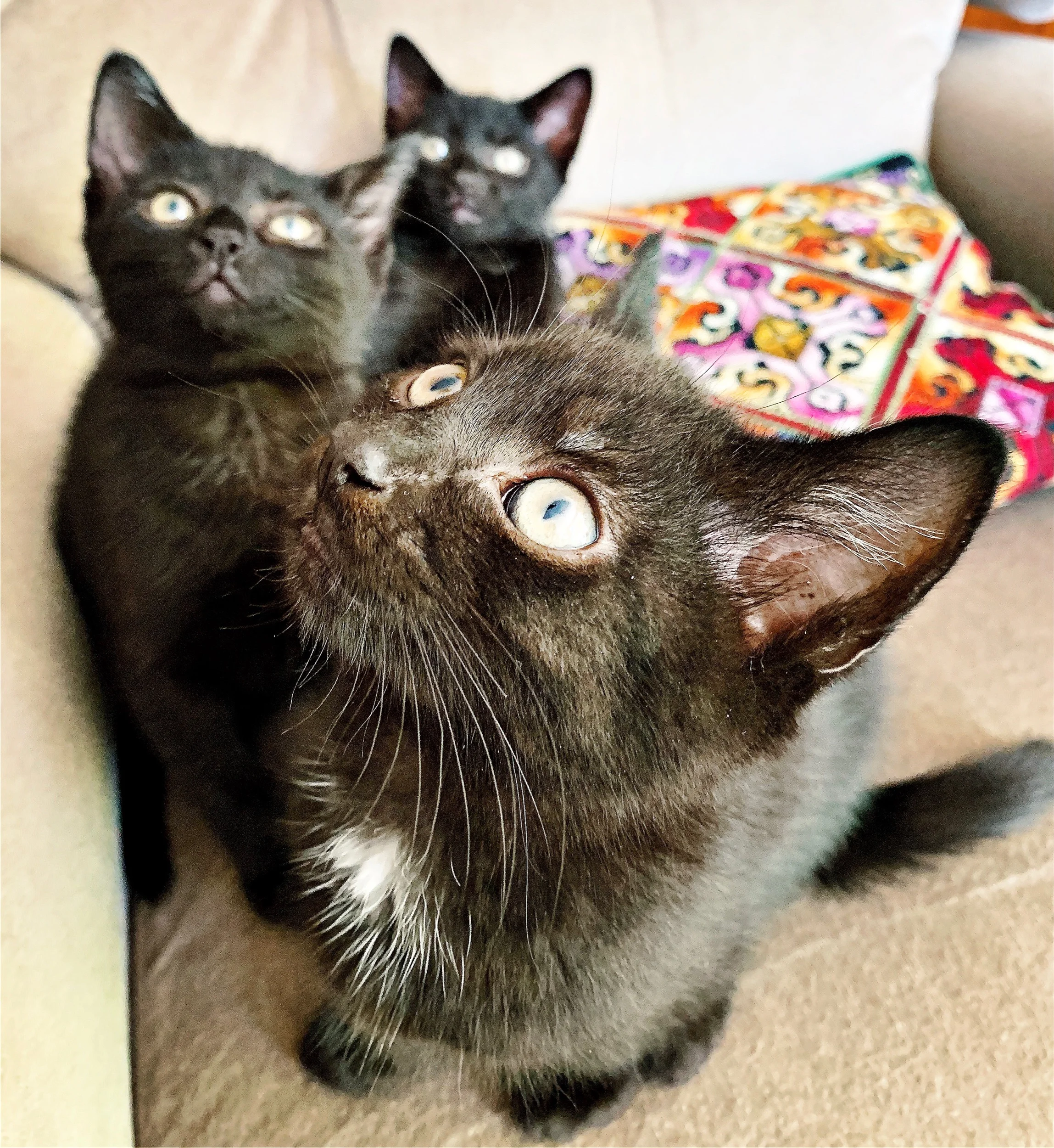 The 23rd &amp; 24th; Probably Boris. Oh god. 