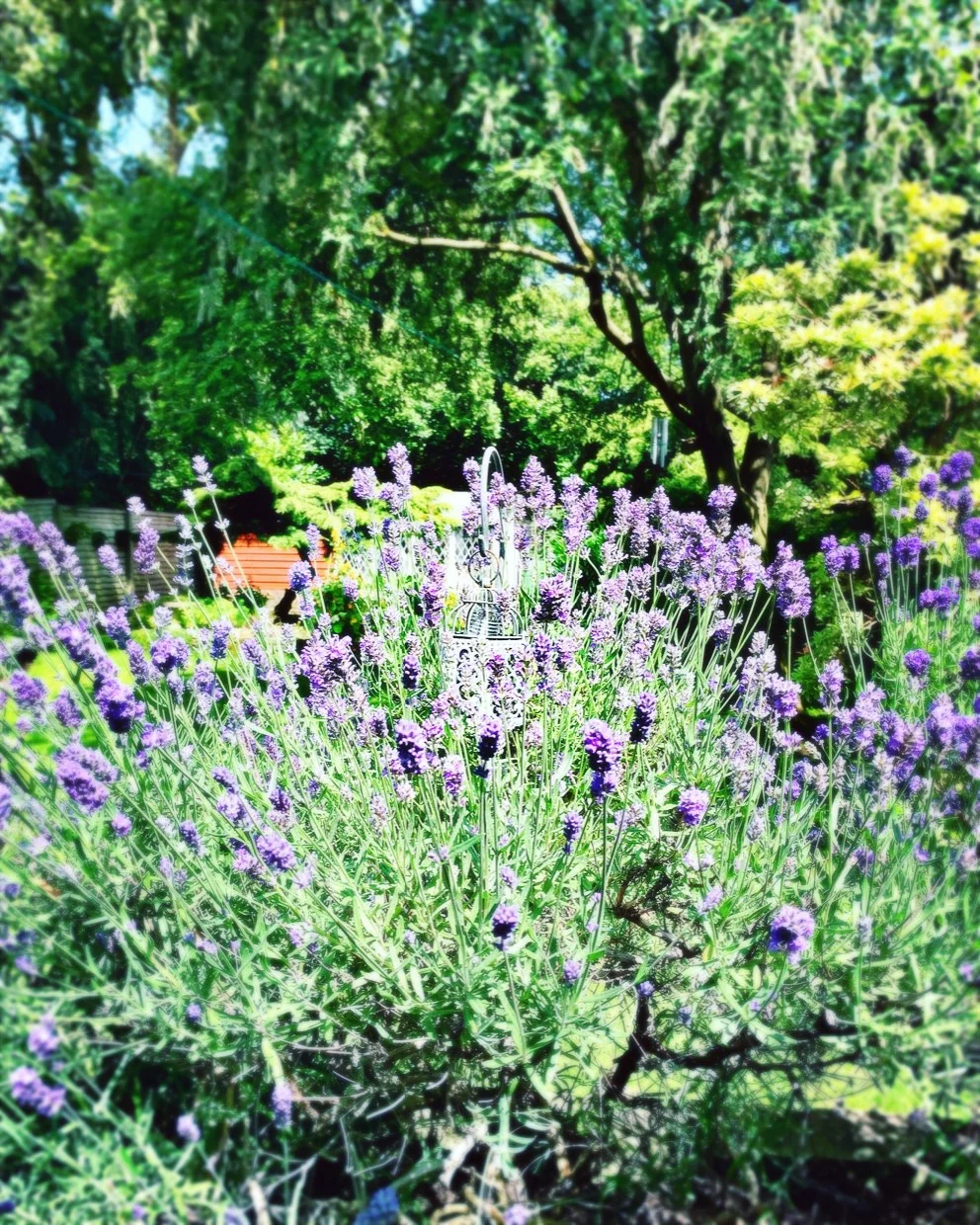 The 28th &amp; 29th; I already look less like Quasimodo!