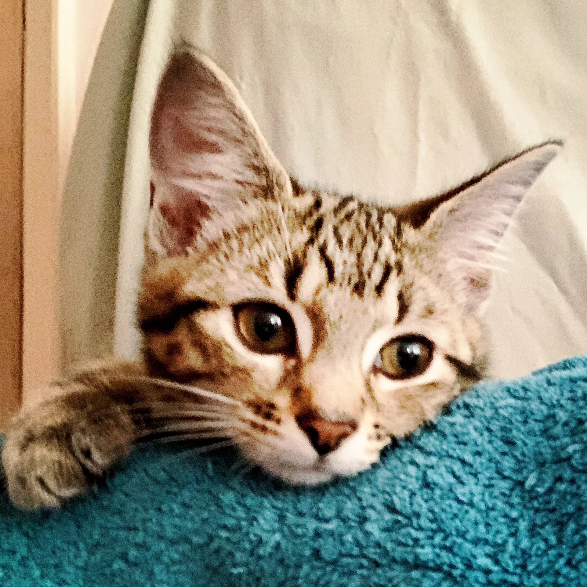 The 5th &amp; 6th; Still angry.