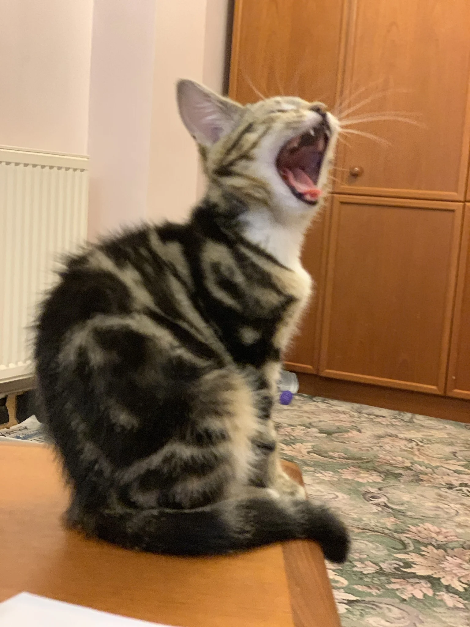 The 13th &amp; 14th; Did not expire!