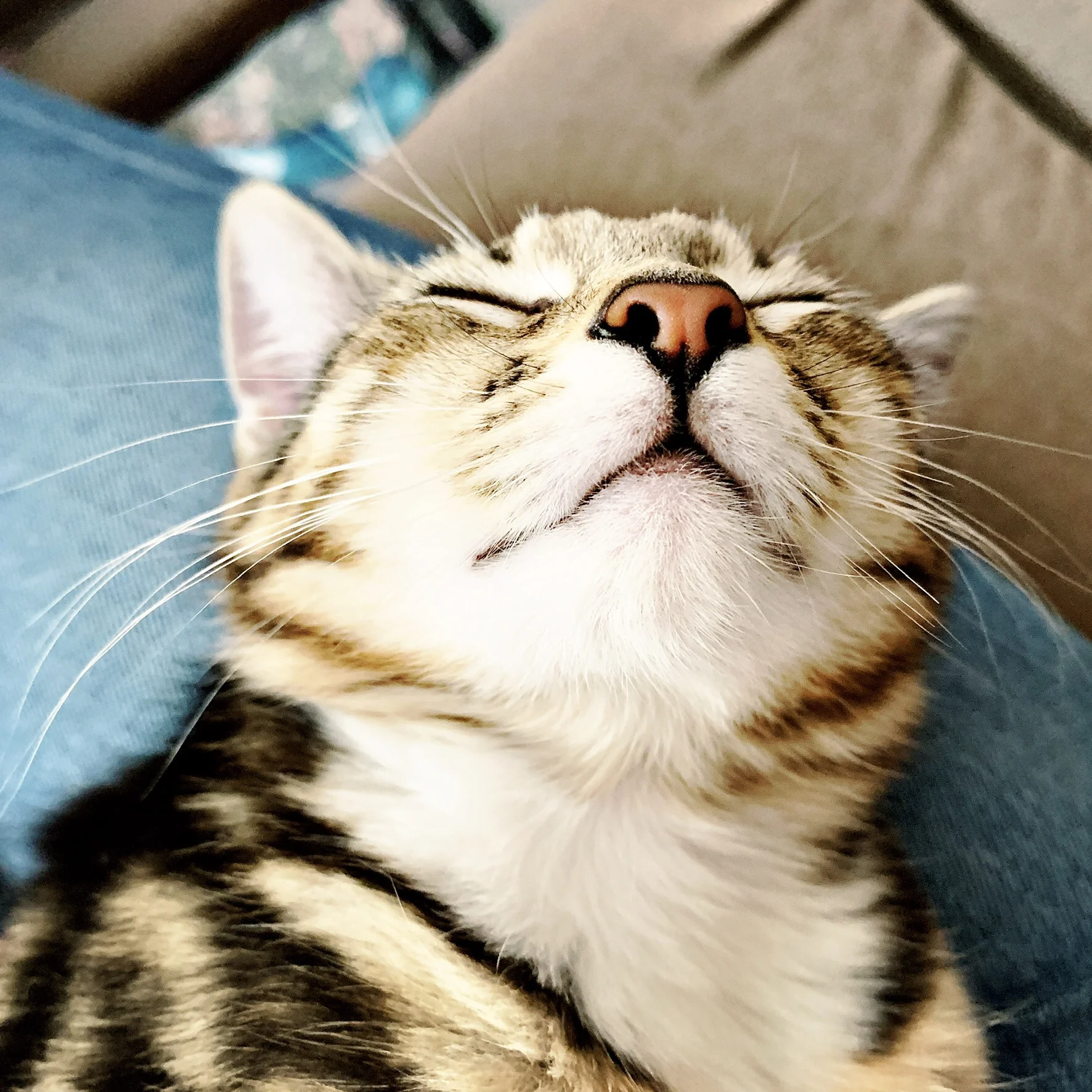 The 21st &amp; 22nd; Dark time.