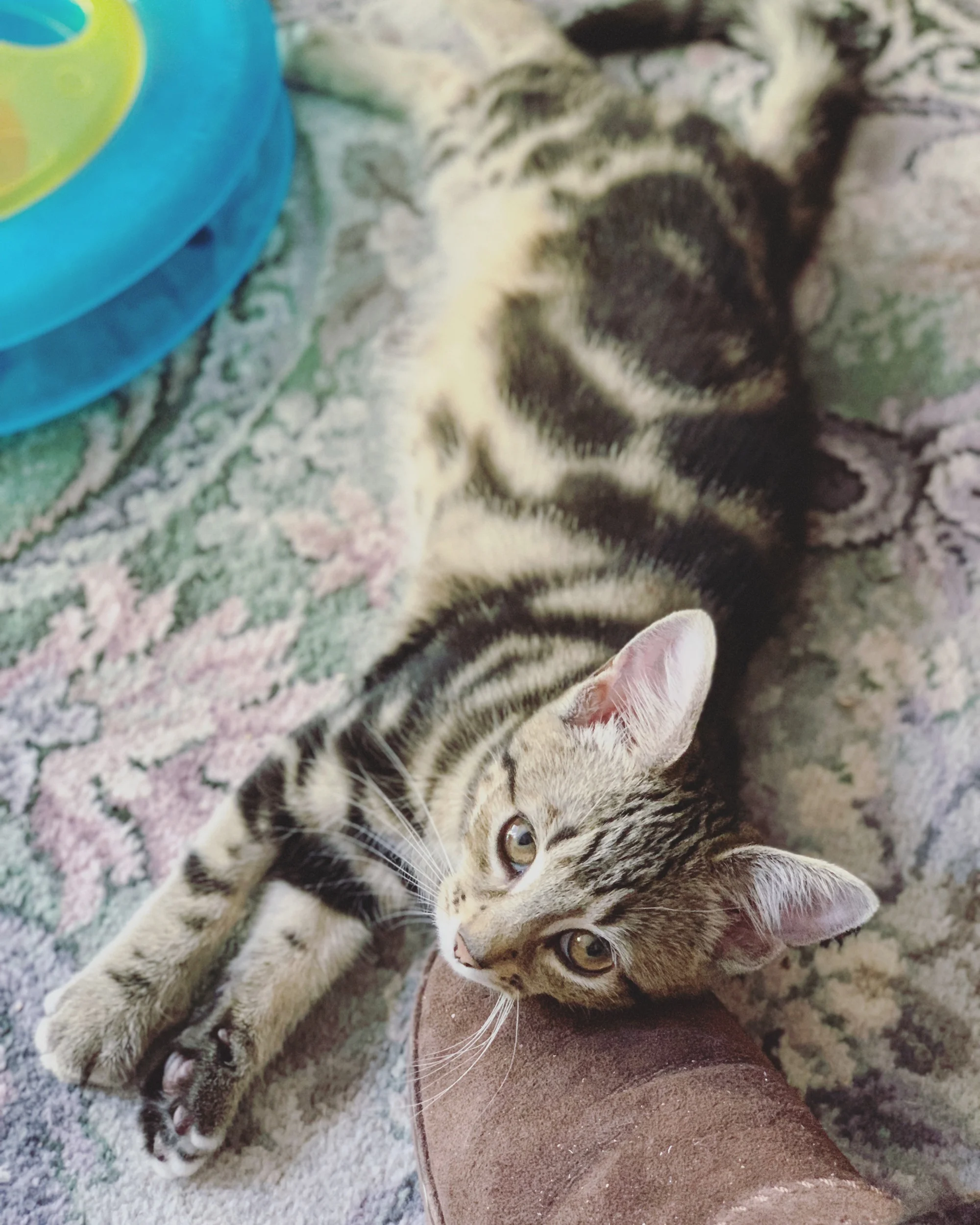 The 25th &amp; 26th; Doesn't stop my brain being an idiot though.