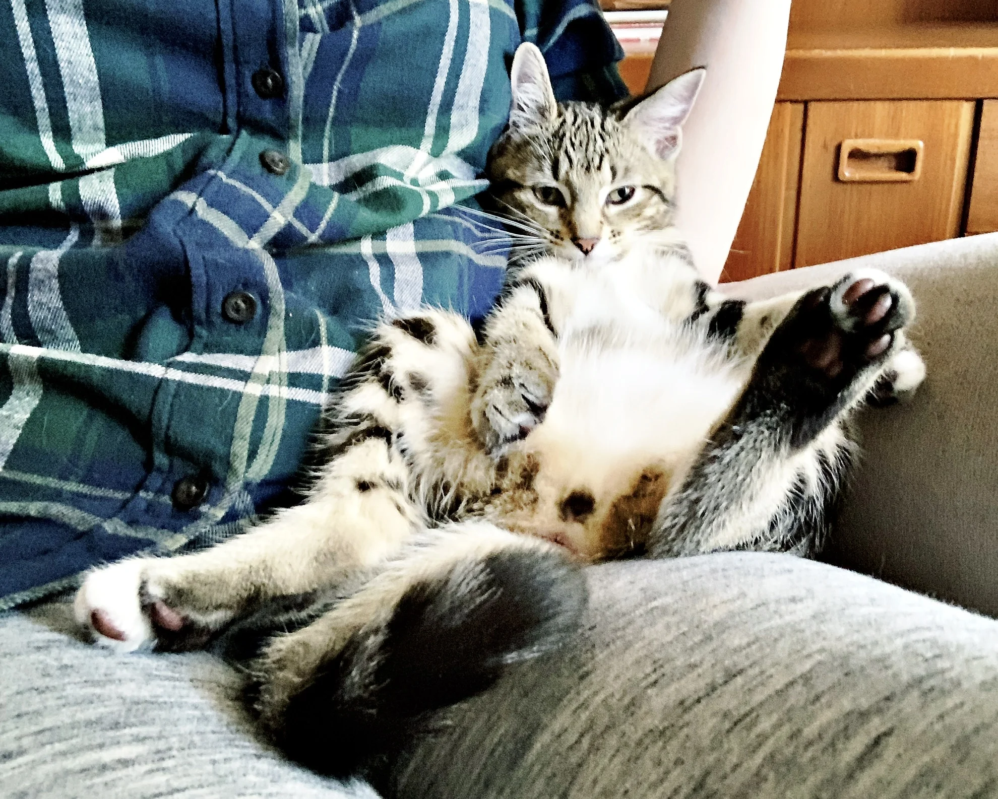 The 27th &amp; 28th; It's going to take months.