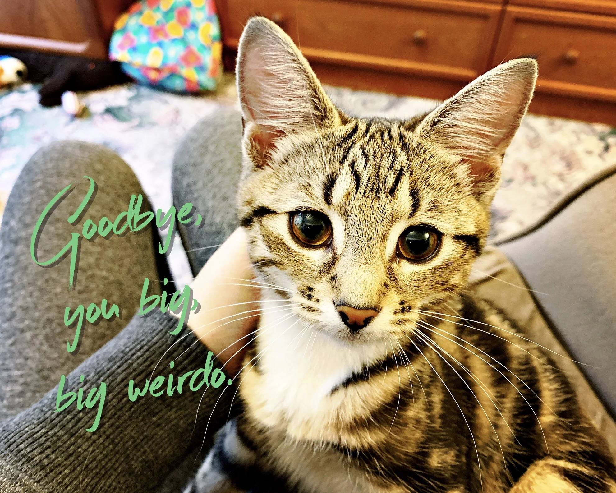 The 2nd &amp; 3rd; There's no one there!