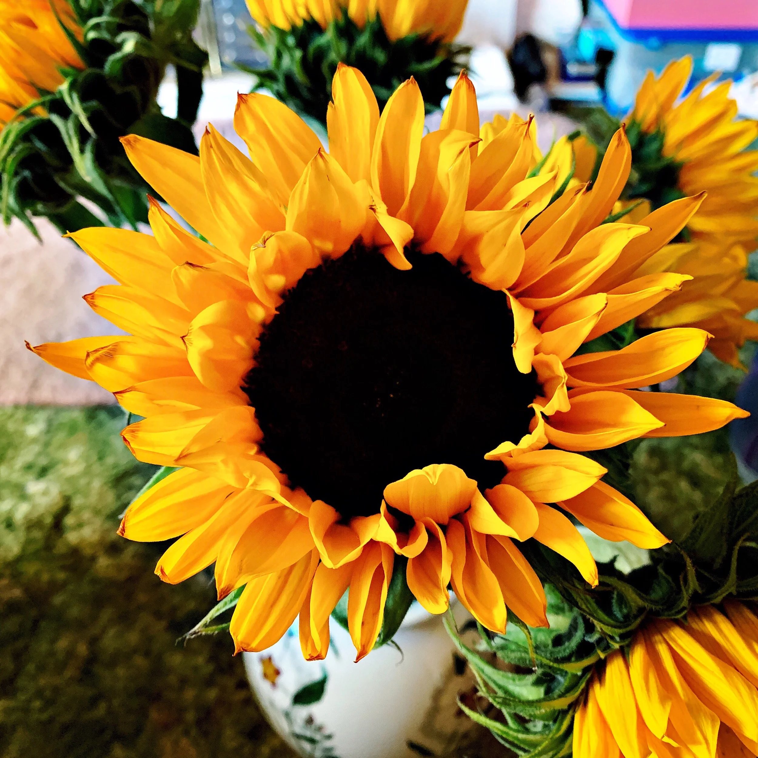 The 14th & 15th; Recovery.