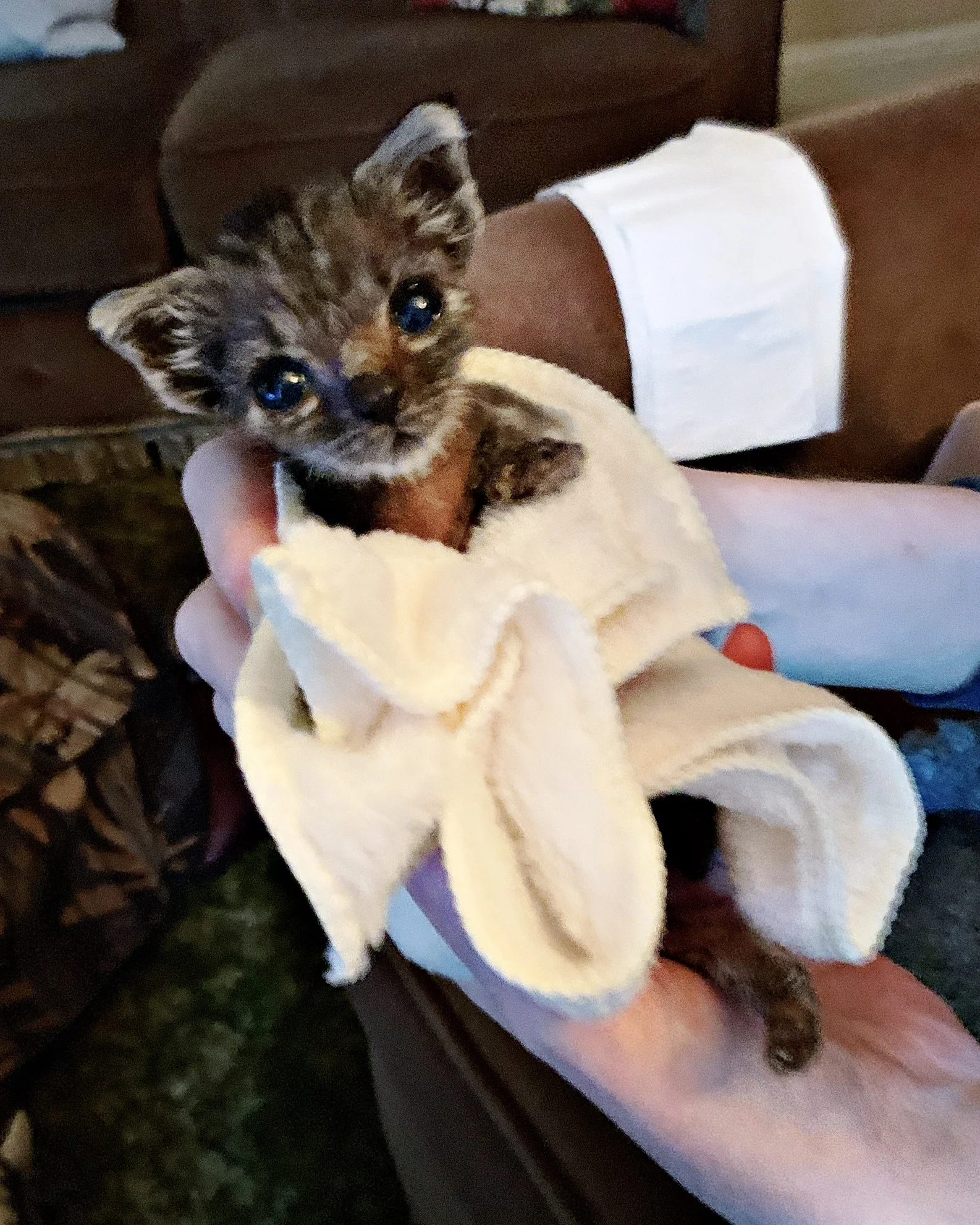 The 16th &amp; 17th; It just hurts so much.