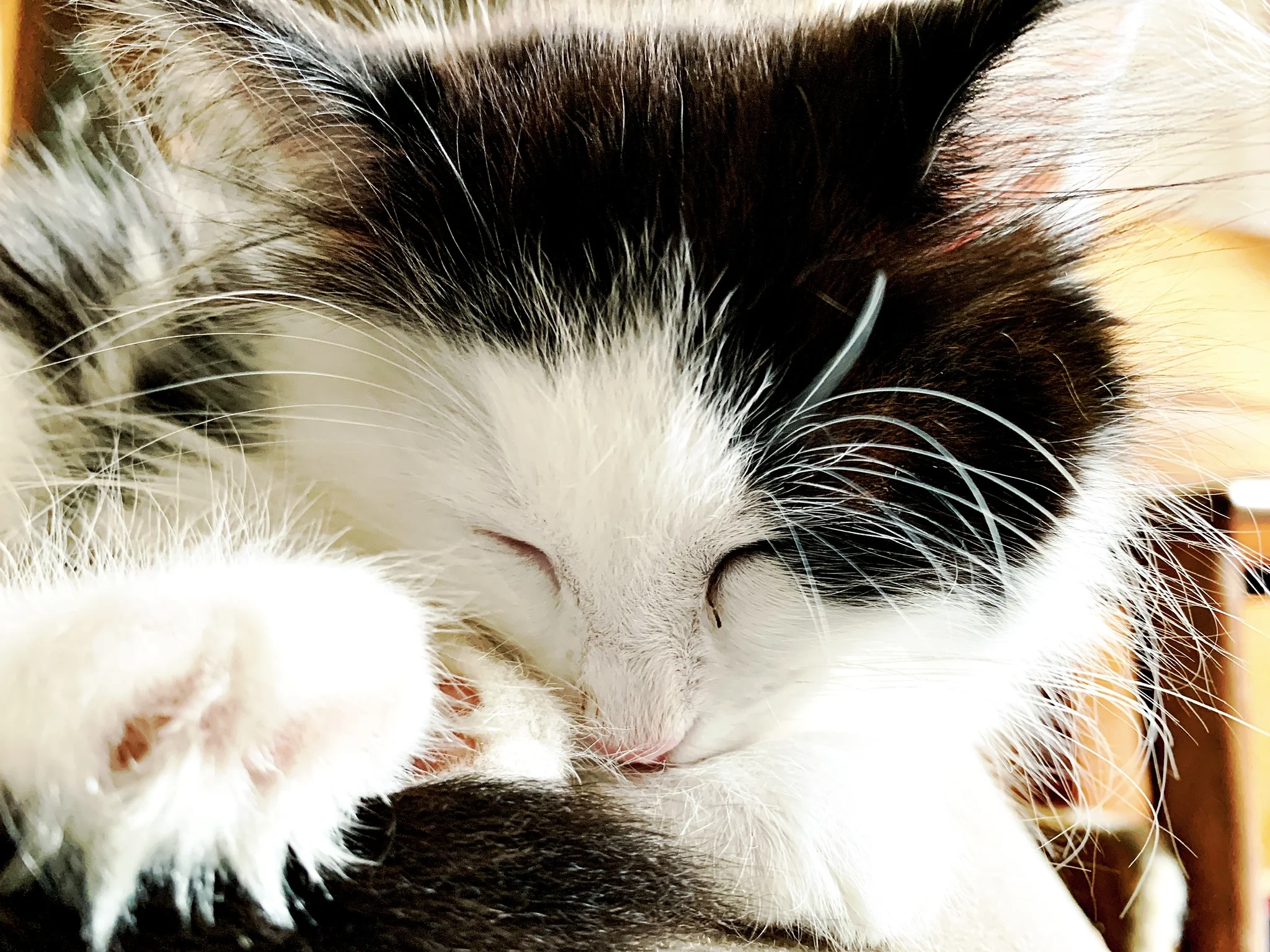 The 4th & 5th; She is my project.