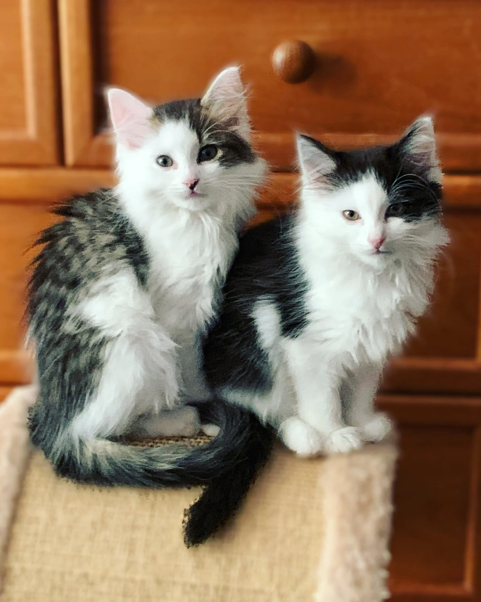 The 6th & 7th; Can they not?