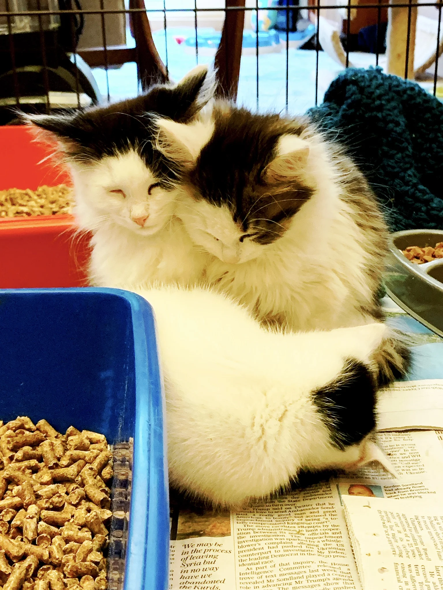 The 10th &amp; 11th; I do not love being covered in plop.