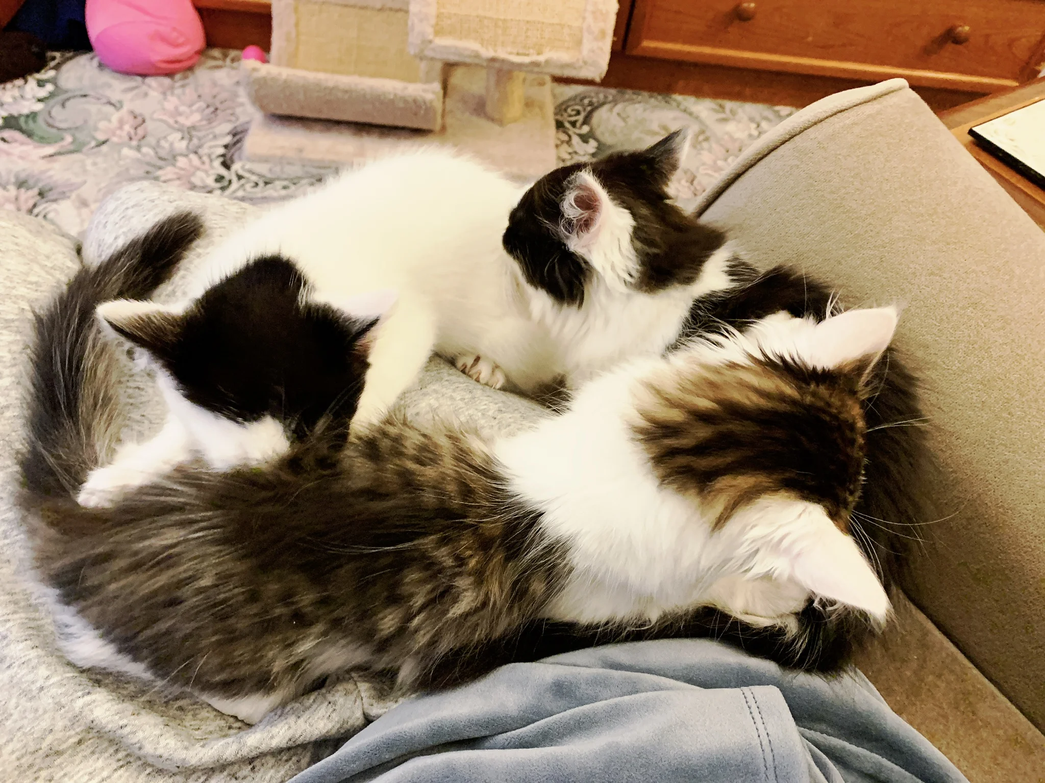 The 14th &amp; 15th; Four new scratches.