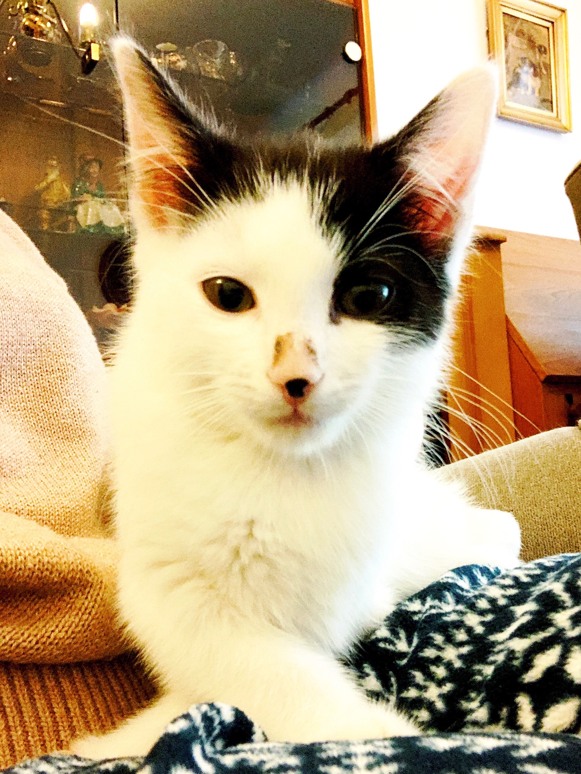 The 16th & 17th; Being sassy is very stressful.